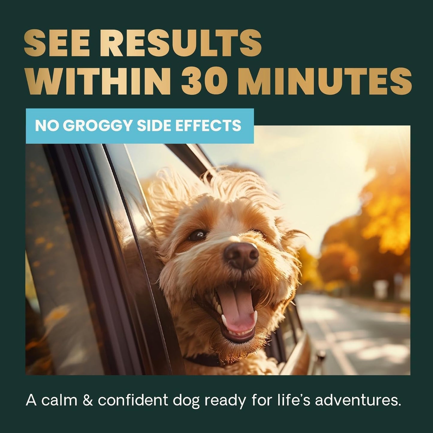 VETRISCIENCE Calm & Confident Chews, Composure Clinically Tested Calming & Anxiety Relief for Dogs, CBD and Melatonin Free Calming Chews for Dogs, Peanut Butter, 120 Count