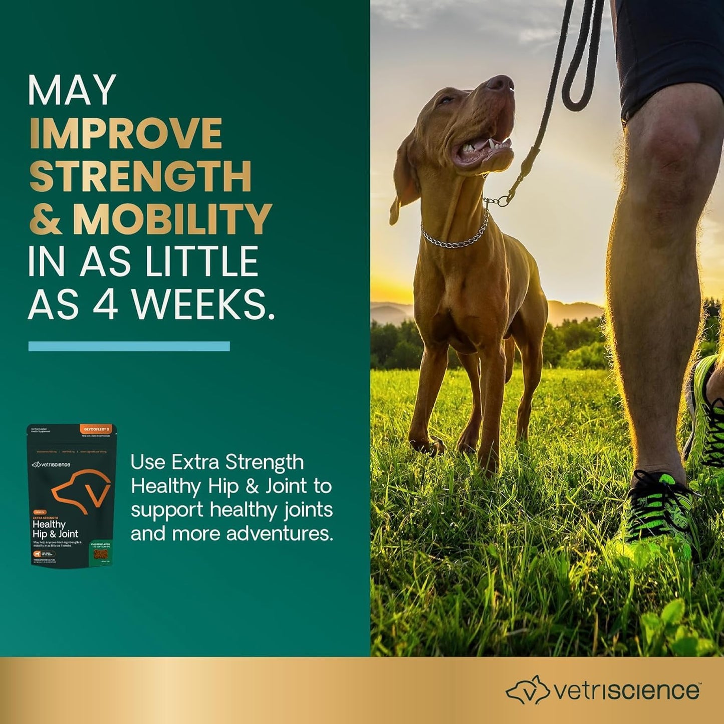 VetriScience Glycoflex 3 Hip and Joint Supplement for Dogs - Maximum Strength Dog Supplement with Glucosamine, MSM, Green Lipped Mussel & DMG - 3 Pack (120 Chews Each)