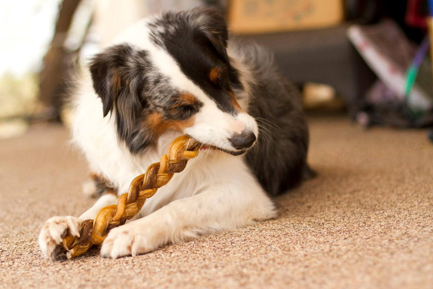 Redbarn Pet Products All-Natural 12" Braided Bully Sticks for Dogs - Premium Grain-Free & Rawhide-Free Single Ingredient Long Lasting Low Odor Dental Treat for Chewers - 2 Count