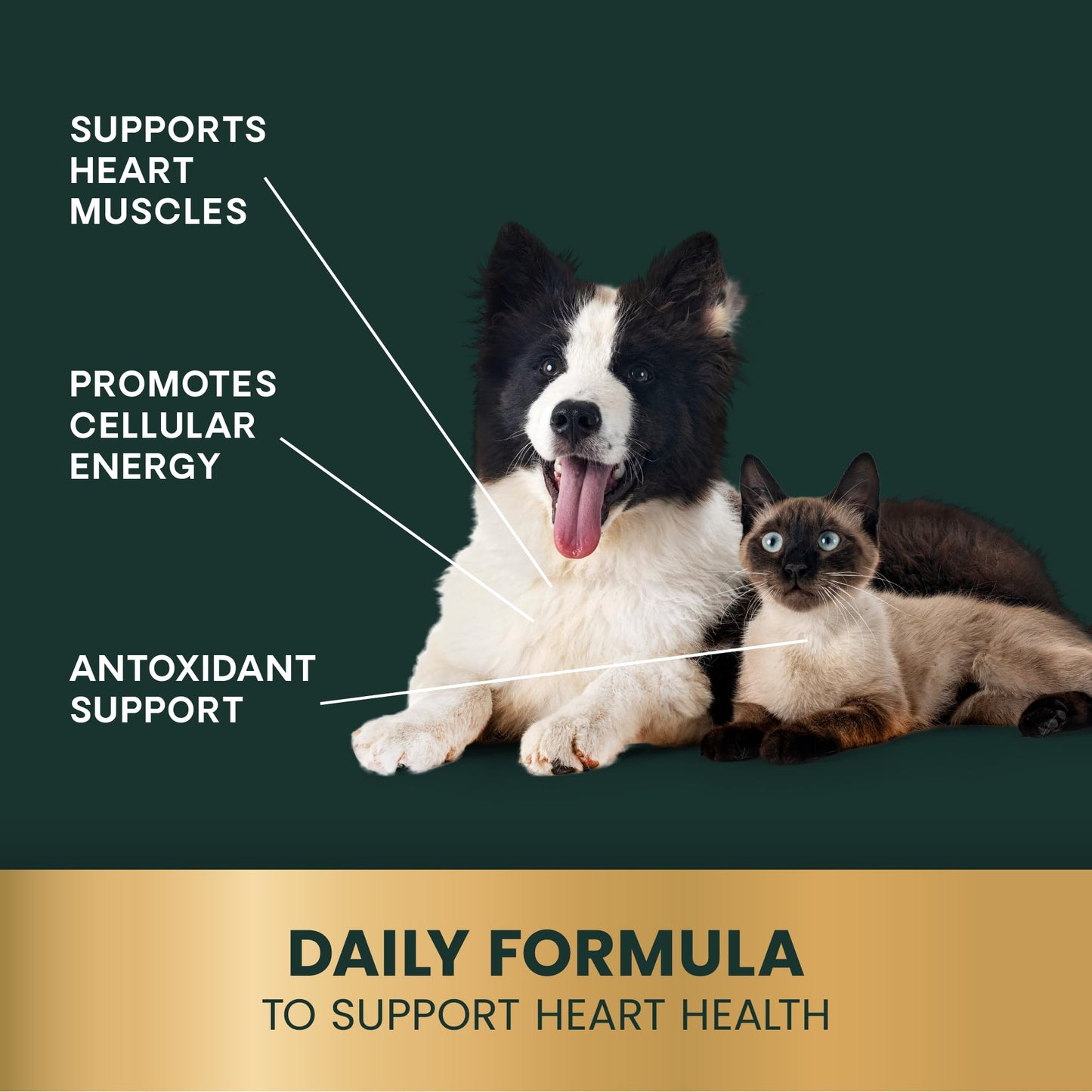 VetriScience CoQ10 Healthy Heart Easy-Open Capsules, 10mg Coenzyme Q10 Cardio and Healthy Aging Supplement for Dogs and Cats, Heart Support Supplement, 100 Count