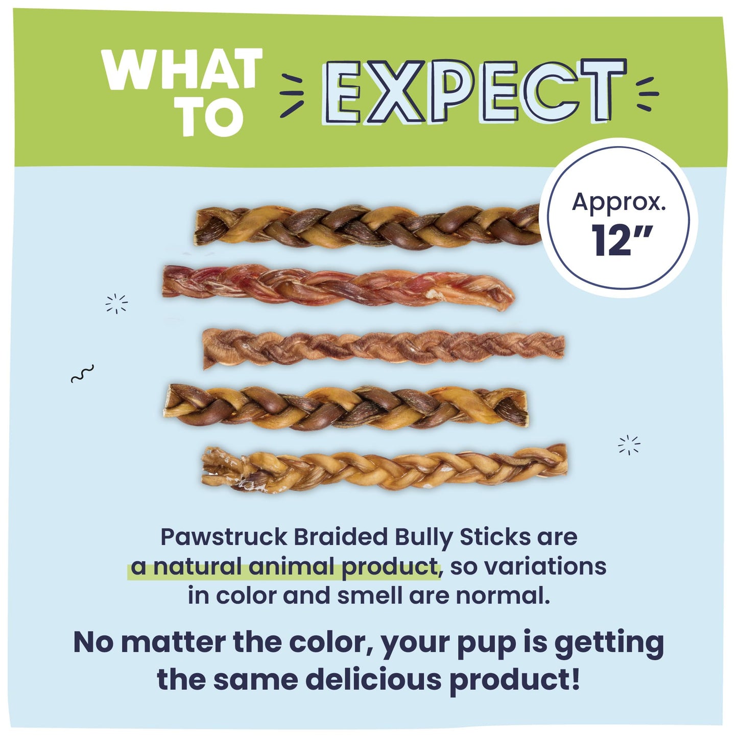 Pawstruck Natural 12" Braided Bully Sticks for Dogs – Tough, Long-Lasting, Rawhide-Free, Low-Odor, Single Ingredient Chew Treat for Aggressive Chewers – 5 Count – Packaging May Vary