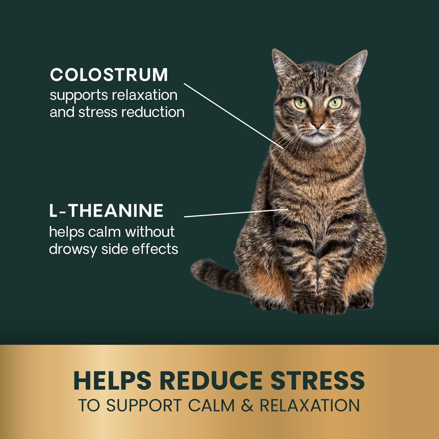 VetriScience Composure, Calming Formula for Cats, 30 Bite-Sized Chews