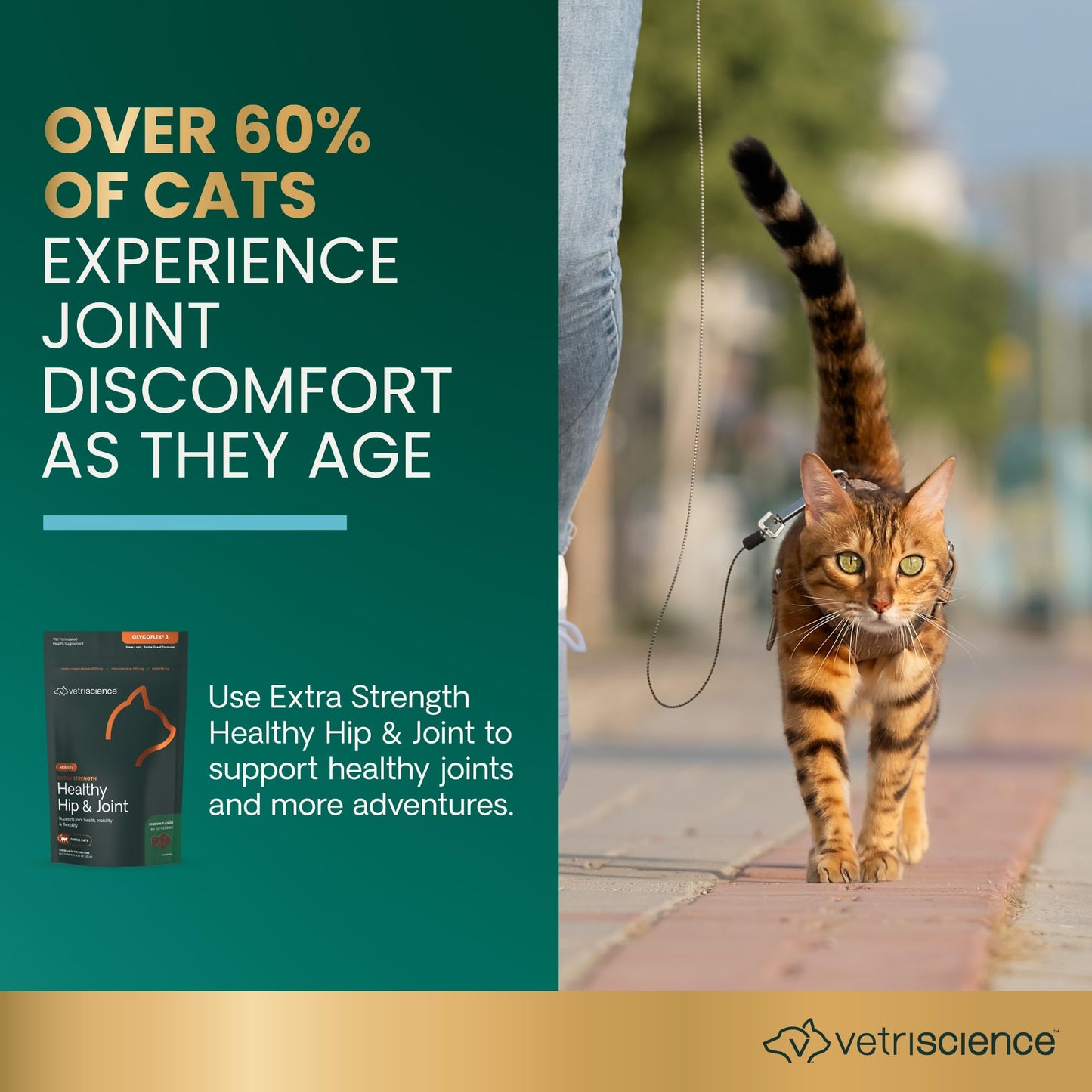 VetriScience Extra Strength Healthy Hip & Joint Chews, GlycoFlex Glucosamine and Green-Lipped Mussel Joint Support Supplement for Cats, Promote Mobility and Soothe Joint Discomfort, Chicken, 60 Count