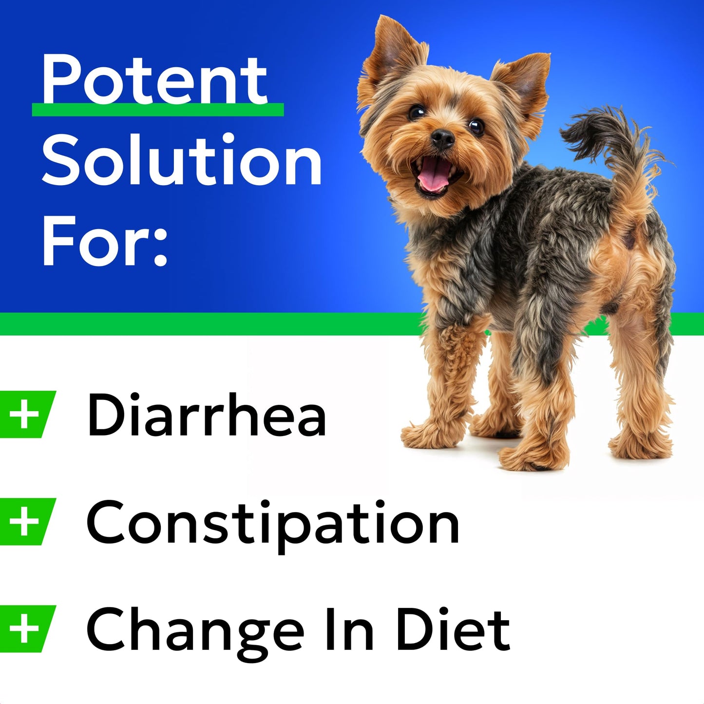 BARK&SPARK Pumpkin Powder for Dogs - 8oz Powdered Fiber Supplement and Stool Softener - Treat Diarrhea, Constipation, Upset Stomach, Food Sensitivity - Improve Digestion - Made in USA