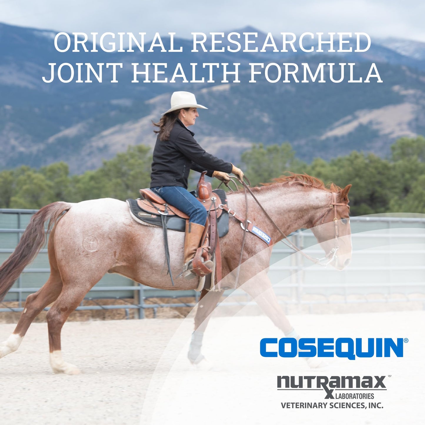 Nutramax Cosequin Original Joint Health Supplement for Horses - Powder with Glucosamine and Chondroitin, 1400 Grams
