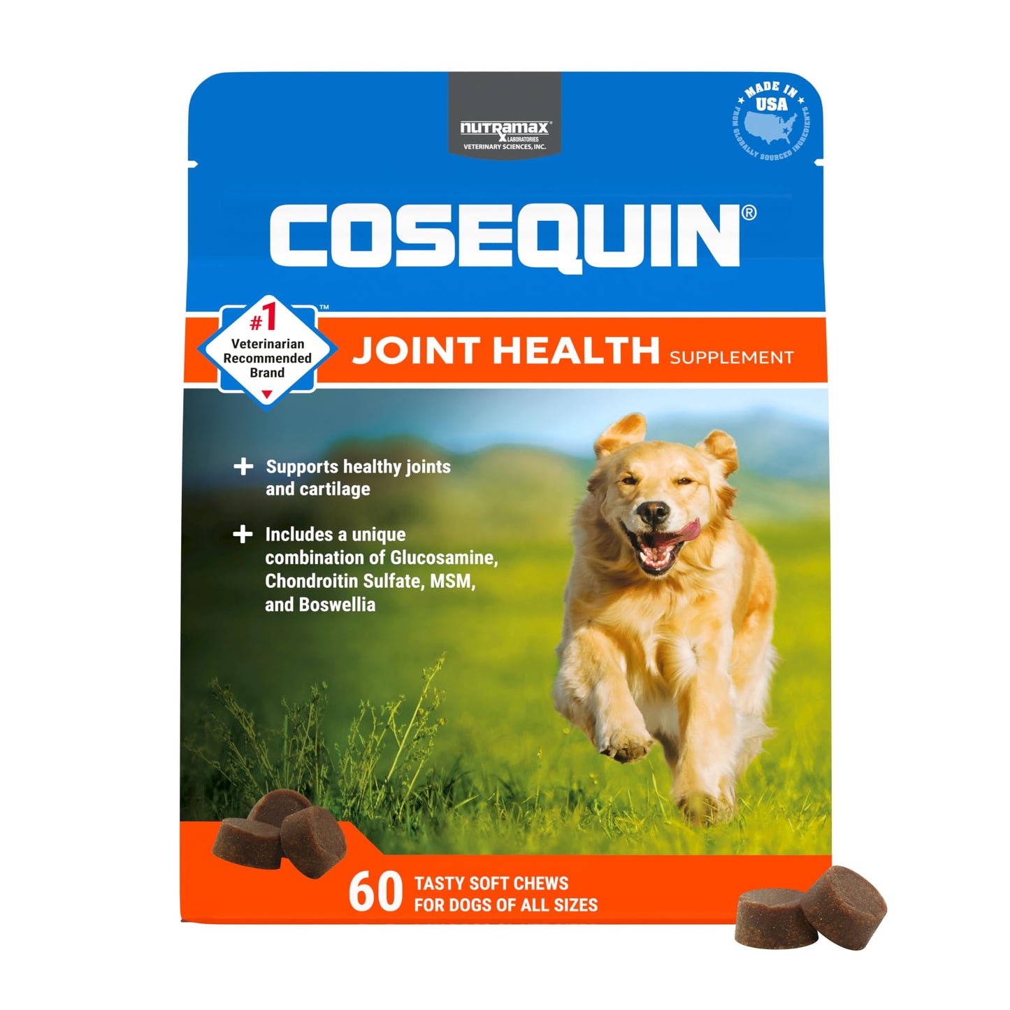 Nutramax Laboratories Cosequin DS Plus MSM Professional Line for Dogs, 60 soft chews
