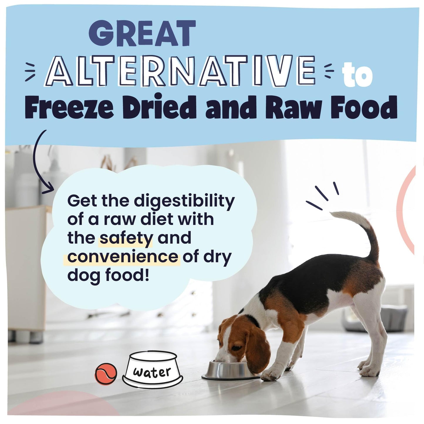 Pawstruck Air Dried Dog Food with Real Beef, Grain-Free, Made in USA, Non-GMO & Vet Recommended, High Protein Limited Ingredient Full-Feed for All Breeds & Ages, 2lb Bag