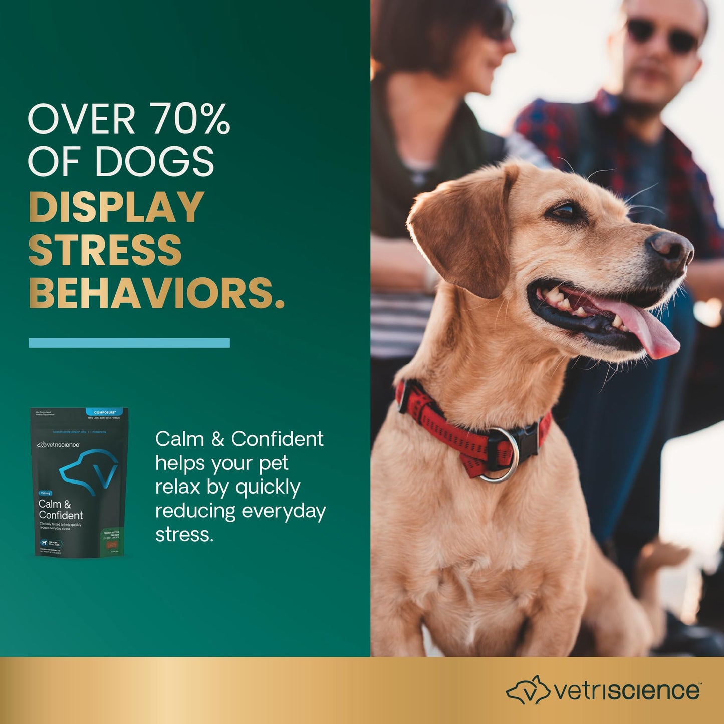 VETRISCIENCE Calm & Confident Chews, Composure Clinically Tested Calming & Anxiety Relief for Dogs, CBD and Melatonin Free Calming Chews for Dogs, Peanut Butter, 120 Count