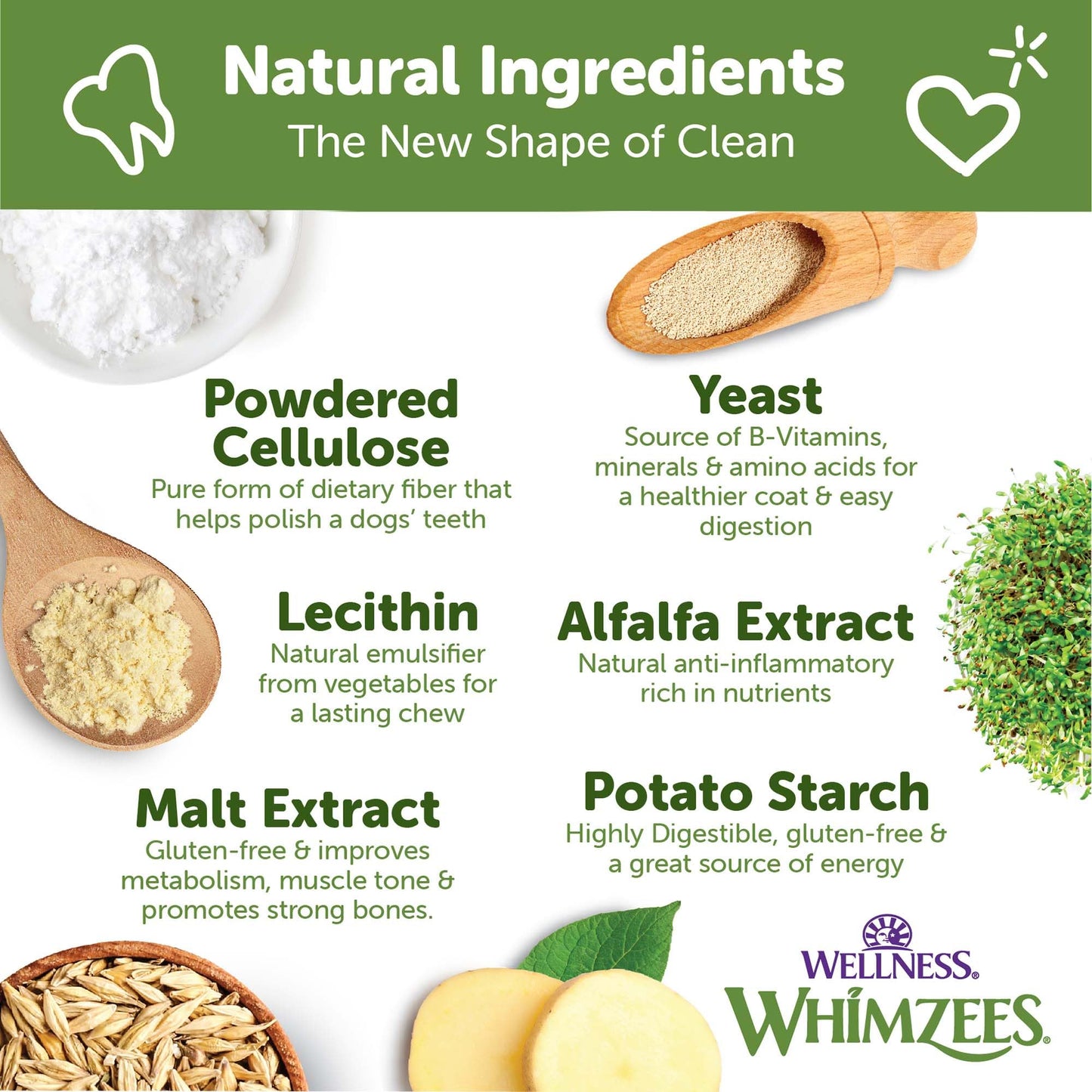 Wellness WHIMZEES Brushzees Dog Dental Treats, Natural Chews, Large Size Stick, (6 Count)