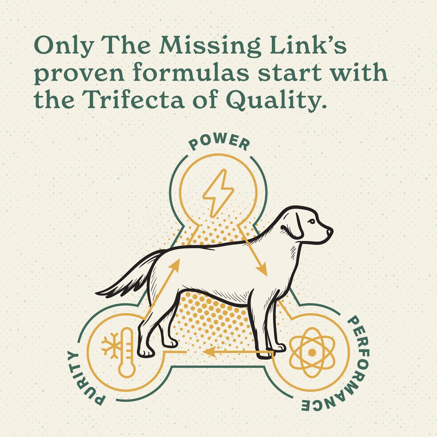 The Missing Link Hip & Joint + Probiotics Supplement 1lb Bag - Superfood Powder for Dog Cartilage & Bone Health, Joint Mobility & Flexibility