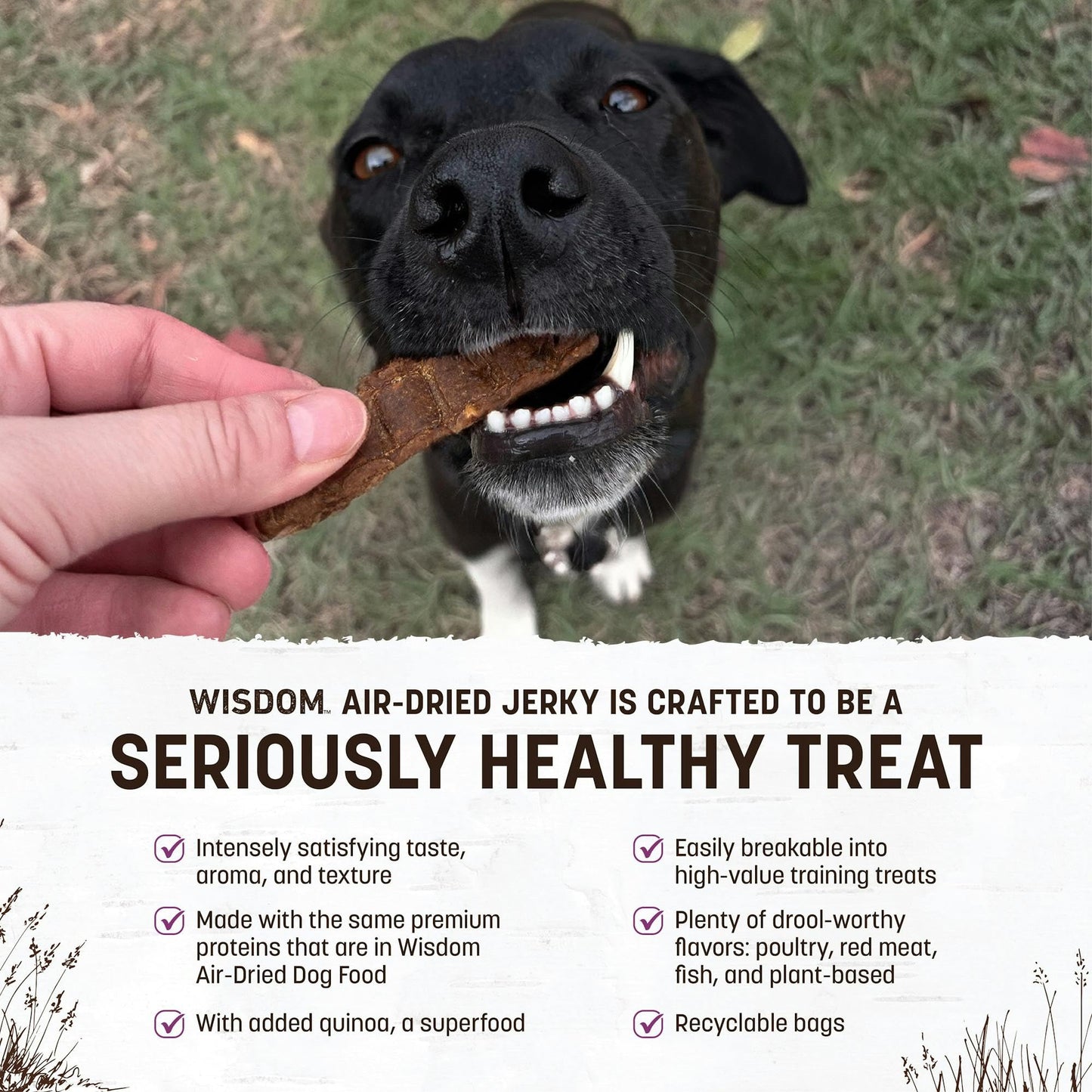 Earth Animal Wisdom Air-Dried Jerky Turkey Recipe | Dog Treats and Snacks | Premium Natural Turkey Jerky Strips | 4 oz | Dog Treats Made in The USA (Pack of 1)