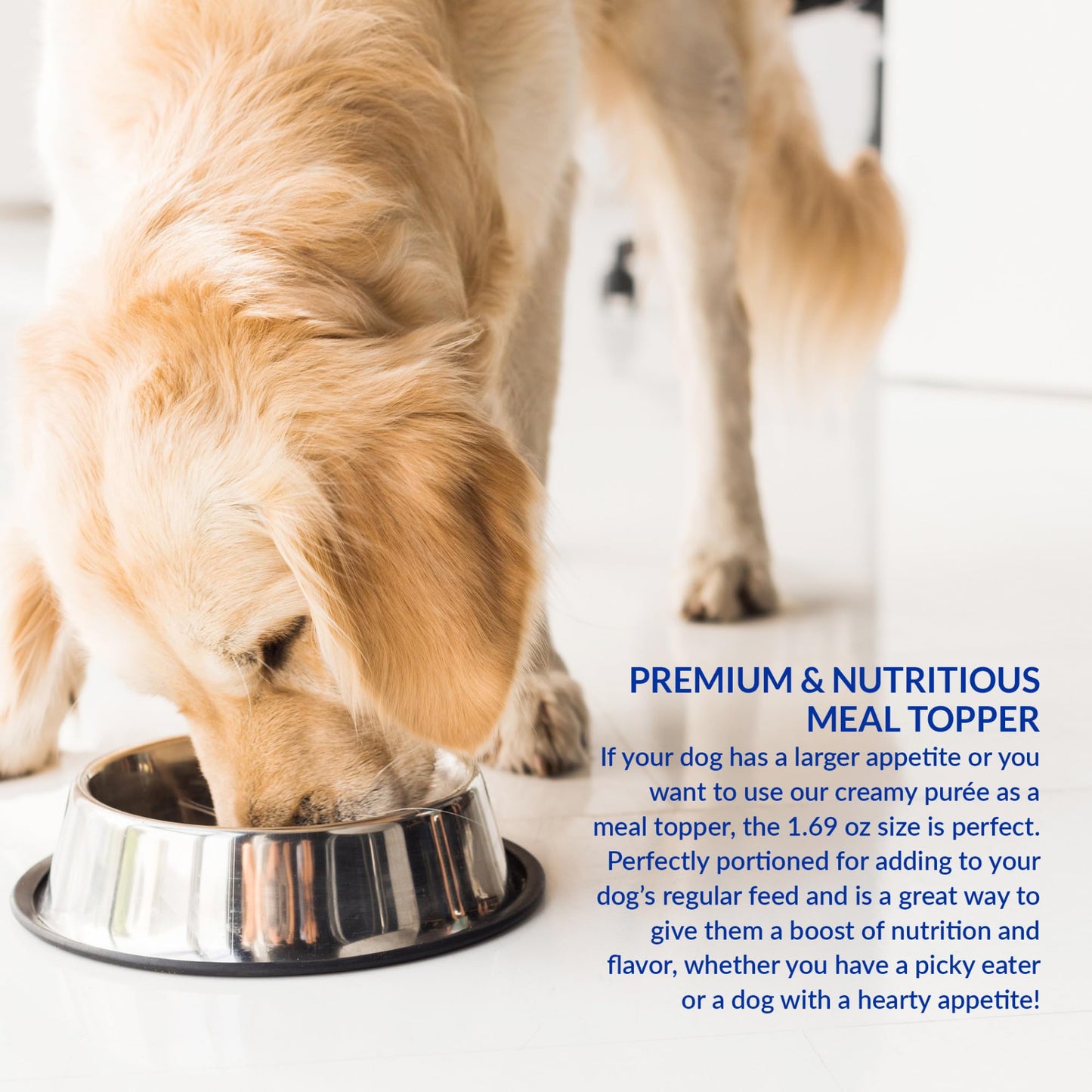 INABA Churu Meal Topper for Dogs, Complete & Balanced, Creamy, Lickable Purée Dog Food Toppers, 1.69 Ounce Tube, 18 Tubes (3 per Pack), Chicken with Salmon Recipe