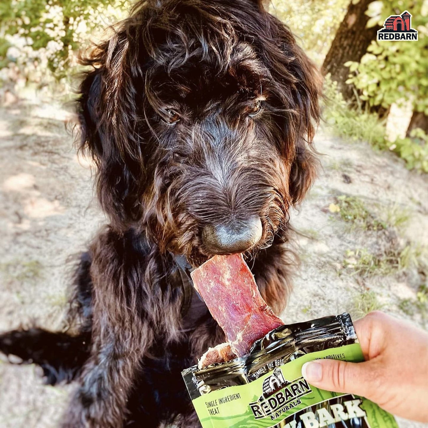 Redbarn Pet Products Naturals Barky Bark Beef Dog Treats 50 Bones