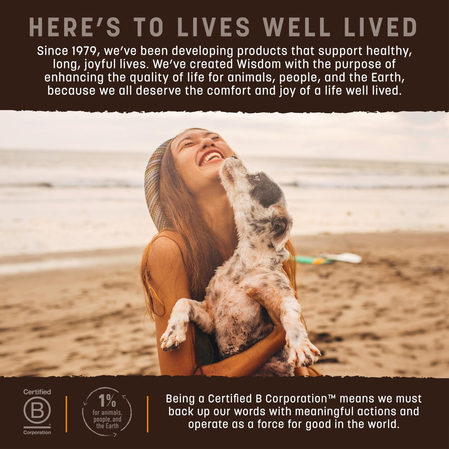 Earth Animal Wisdom Air-Dried Jerky Chicken Recipe | Dog Treats | Dog Snacks | Premium Natural Chicken Jerky Strips | 4 oz | Made in The USA (Pack of 3)