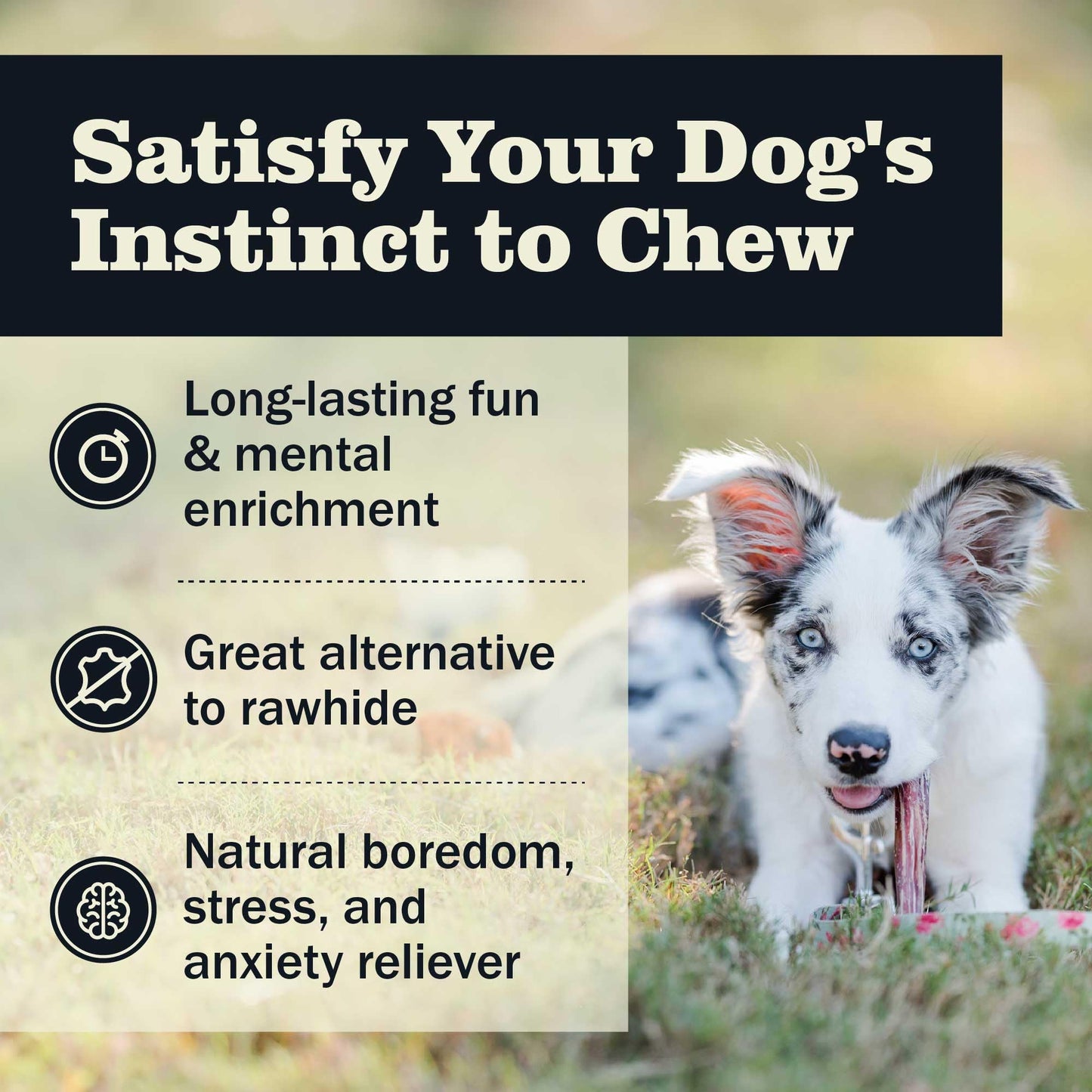 Redbarn Pet Products All Natural 4-5" Bully Sticks for Small & Medium Dogs - Healthy Long Lasting Chews Variety Party Pack - 100% Beef Single Ingredient Low Odor Rawhide Free - Bag, 12oz