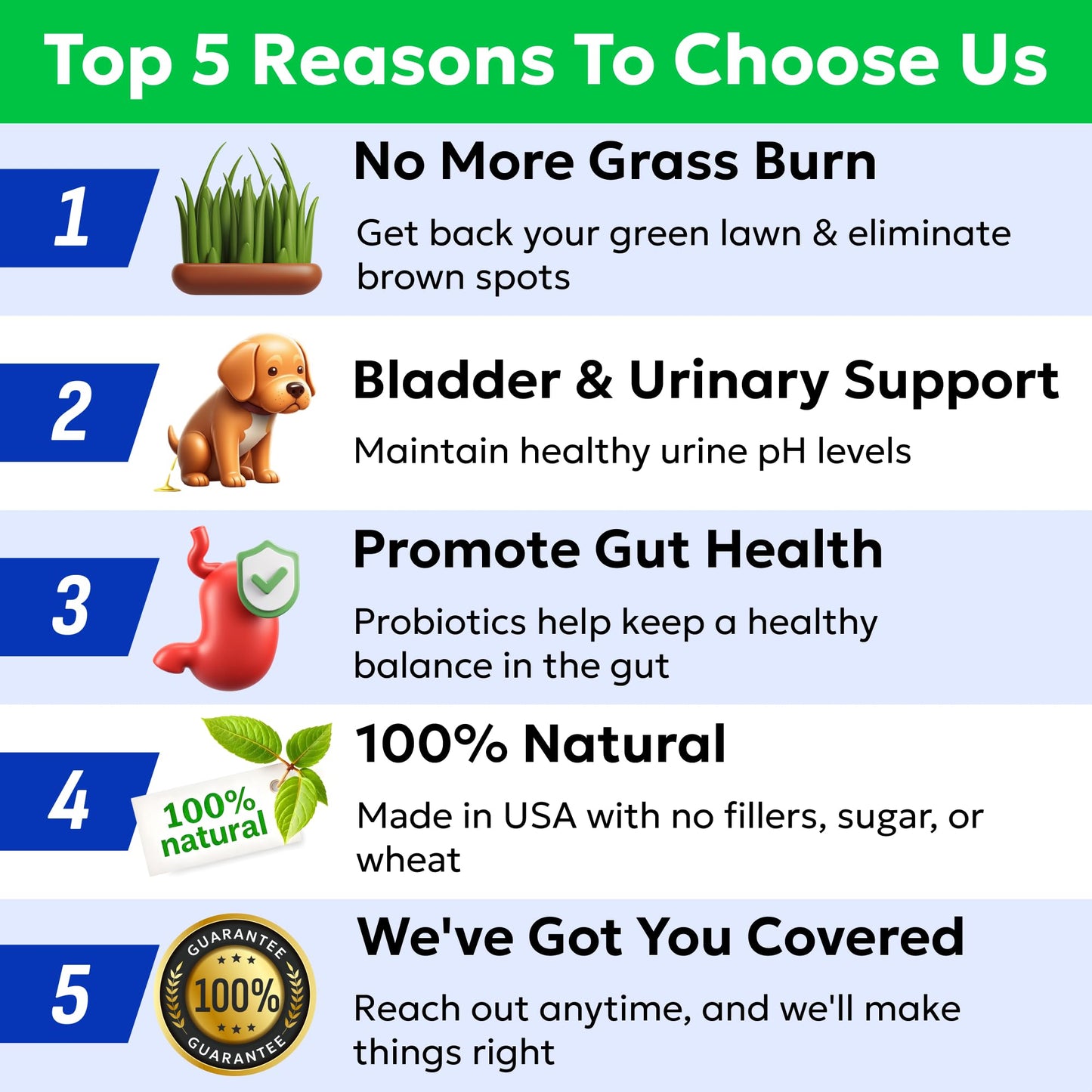 BARK&SPARK Green Grass Chews - Pee Grass Spot Saver Caused by Dog Urine - Urine Neutralizer for Lawn, Gut Health Probiotics & Digestive Enzymes,Lawn Burn from Dog Urine, Grass Burn Spot Chews, Rocks