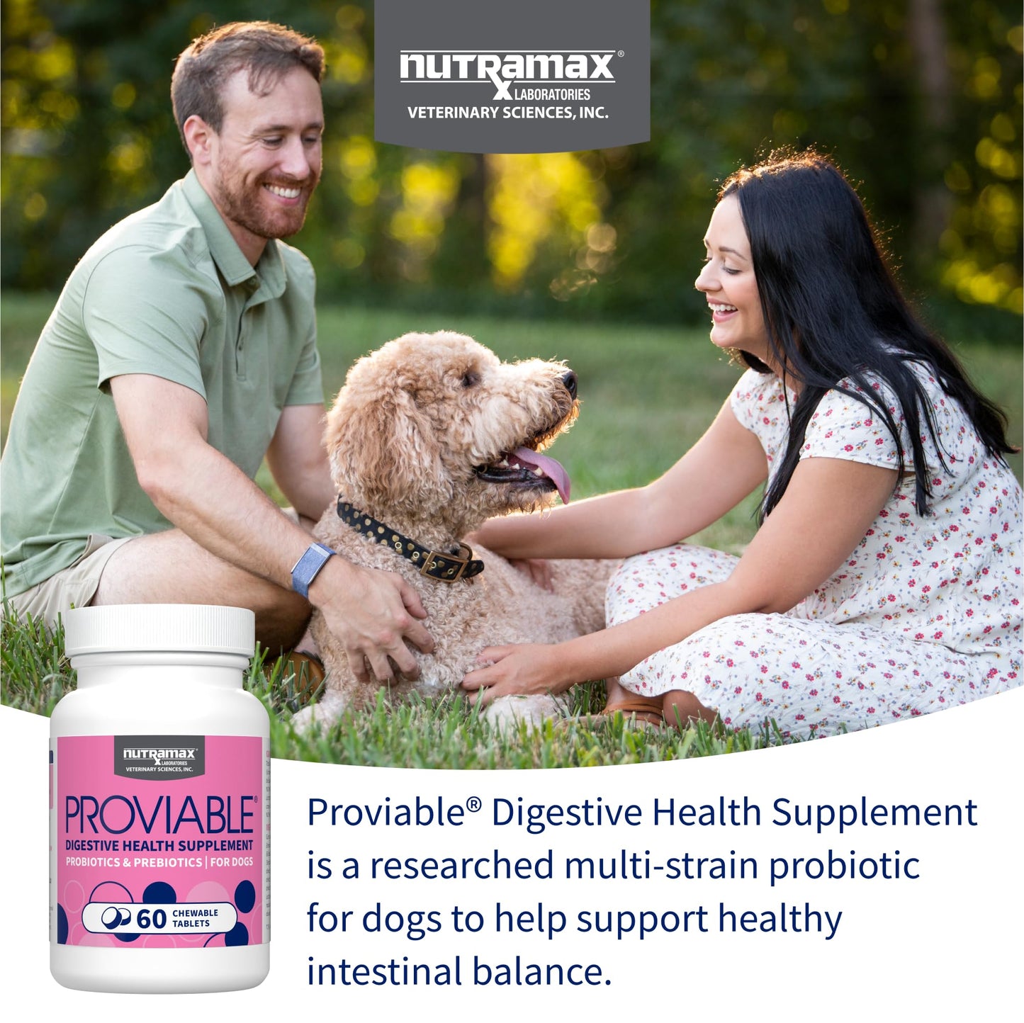 Nutramax Proviable Probiotics for Dogs, Daily Digestive Health Supplement with Multiple Strains of Bacteria, Dog Probiotics Plus Prebiotics, 60 Chewable Tablets