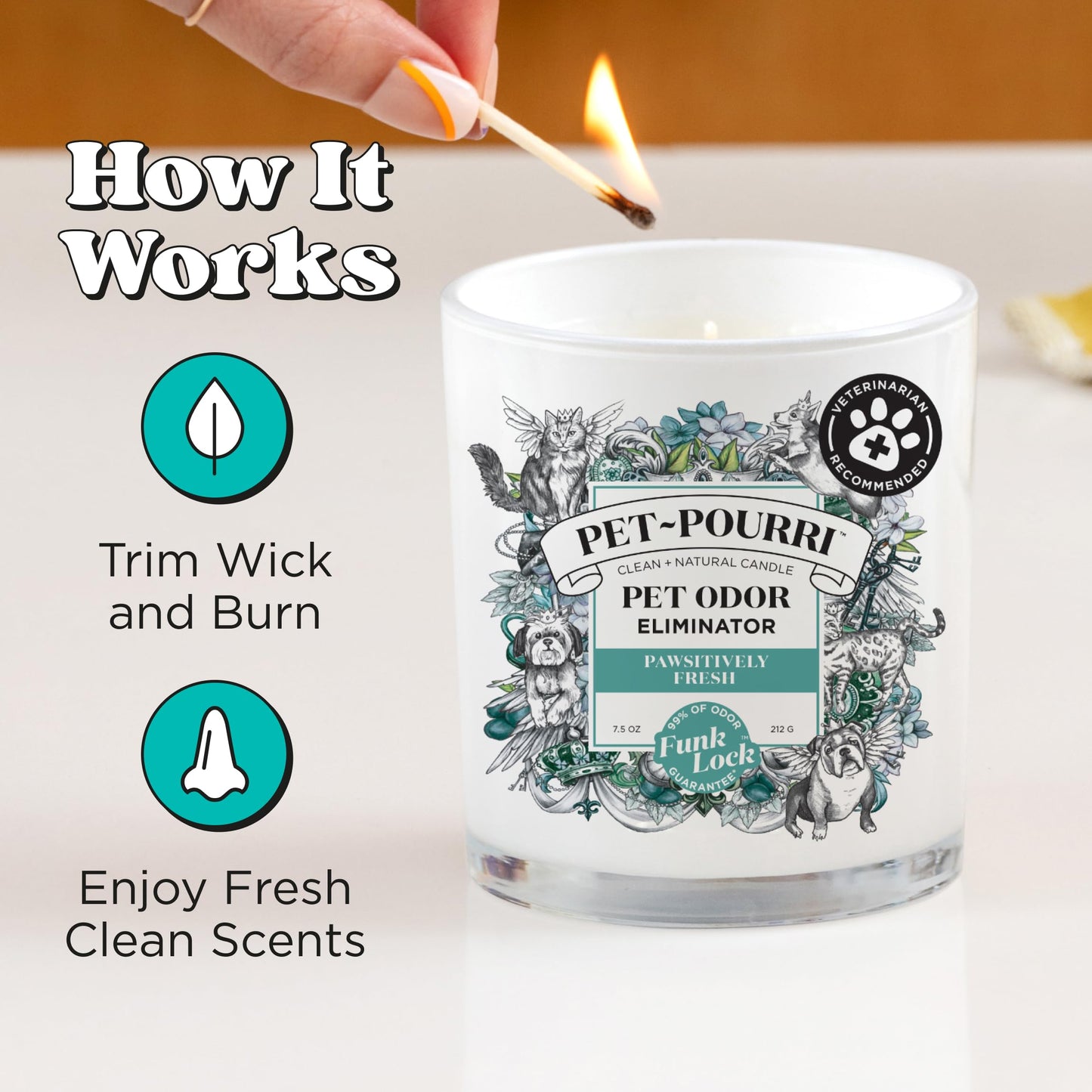 Poo-Pourri Pawsitively Fresh Pet Deodorizer Candle – Pet Safe Plant Based Ingredients & Wax – Vet Approved – Aromatherapy & Air Freshener for Pet Odor – Scented with Pineapple, Jasmine, & Pear