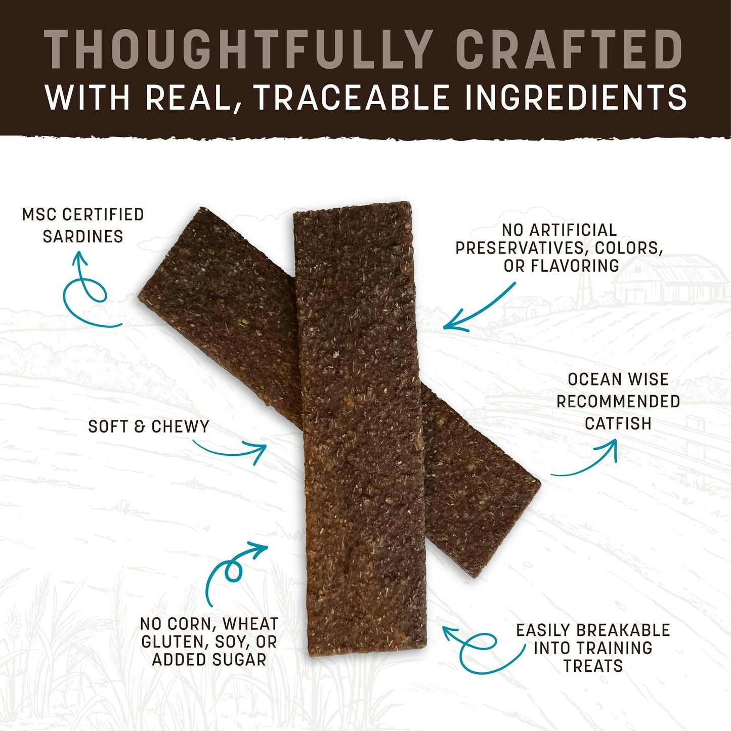 Earth Animal Wisdom Air-Dried Jerky from The Sea Recipe | Dog Treats | Dog Snacks | Premium Natural Fish Jerky Strips | 4 oz |Made in The USA (Pack of 1)