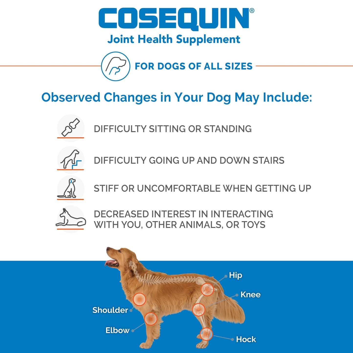 Nutramax Cosequin DS Joint Health Supplement for Dogs - With Glucosamine and Chondroitin, 250 Chewable Tablets