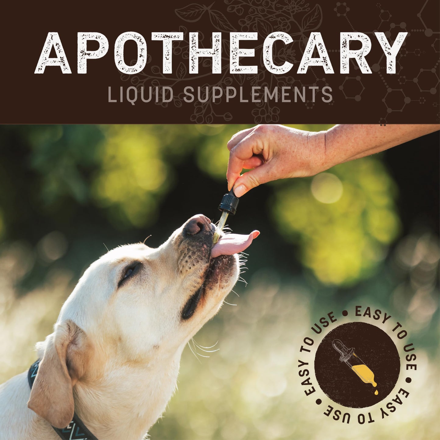 Earth Animal Herbal Remedies | Allergy and Skin | 2 fl oz