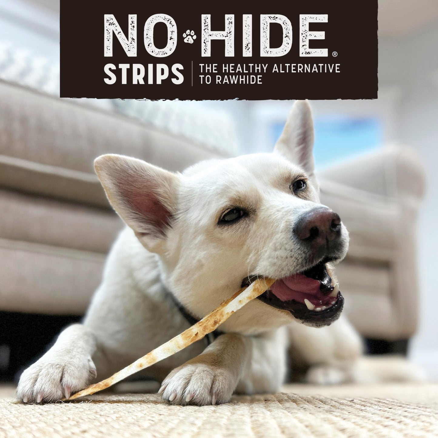 Earth Animal No Hide Strips Venison Flavored Natural Treats | No Rawhide | Quick & Thin Dog Chews | 1.5 Oz