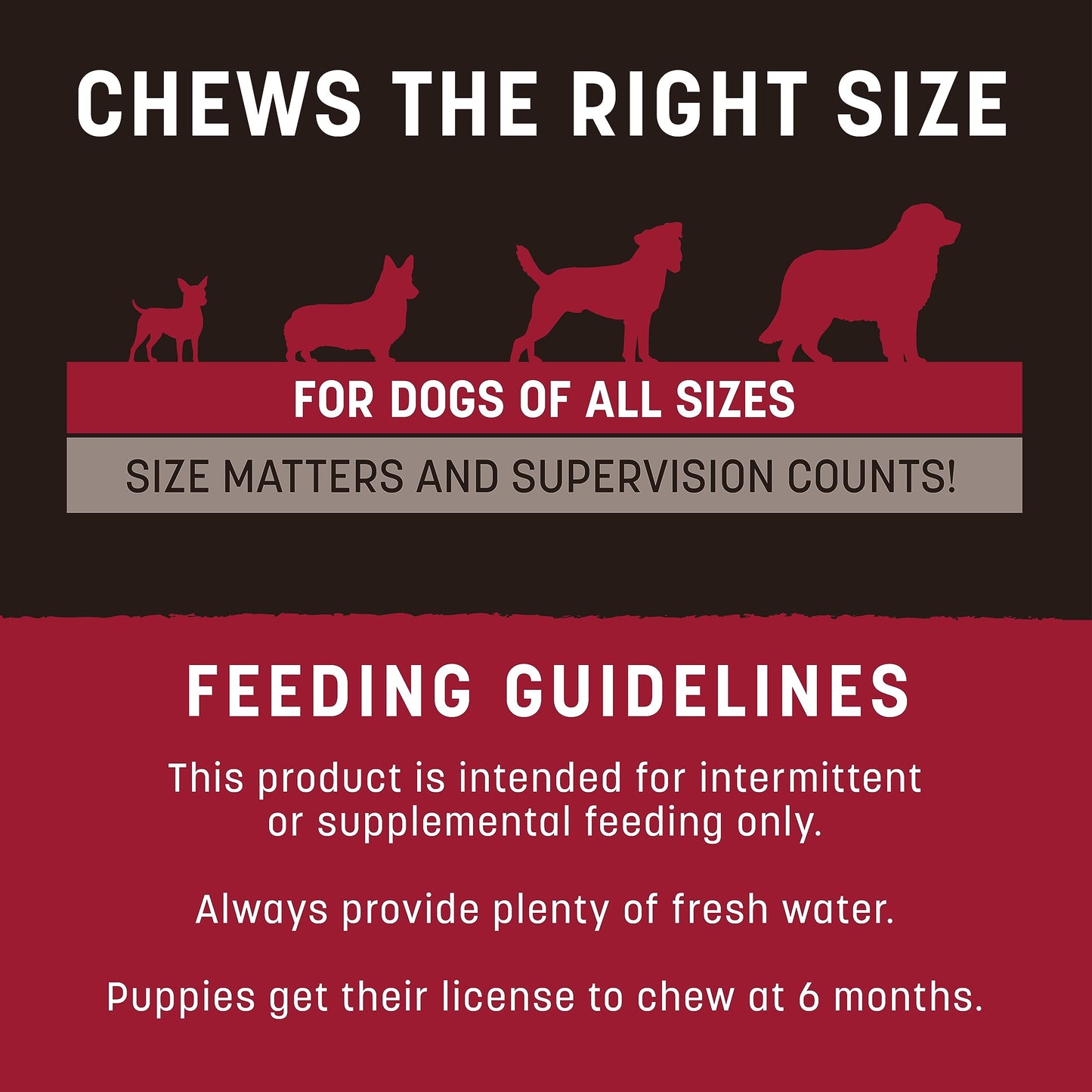 Earth Animal No Hide Strips Beef Flavored Natural Treats | No Rawhide | Quick & Thin Dog Chews | 1.5 Oz