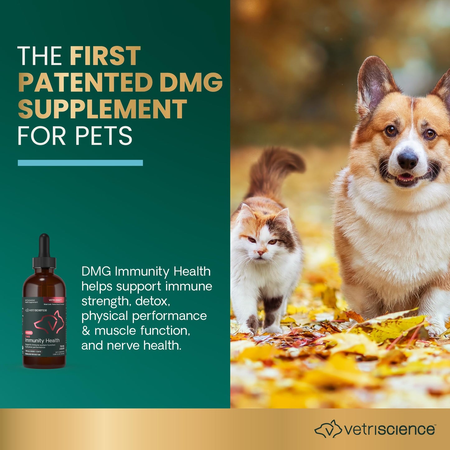 VETRISCIENCE DMG Immunity Health Easy-Dose Liquid, Vetri DMG Immune Support Supplement for Dogs and Cats, Hypoallergenic, Support Performance, Stamina, Immune Response, DMG (Dimethylglycine), 114 ml