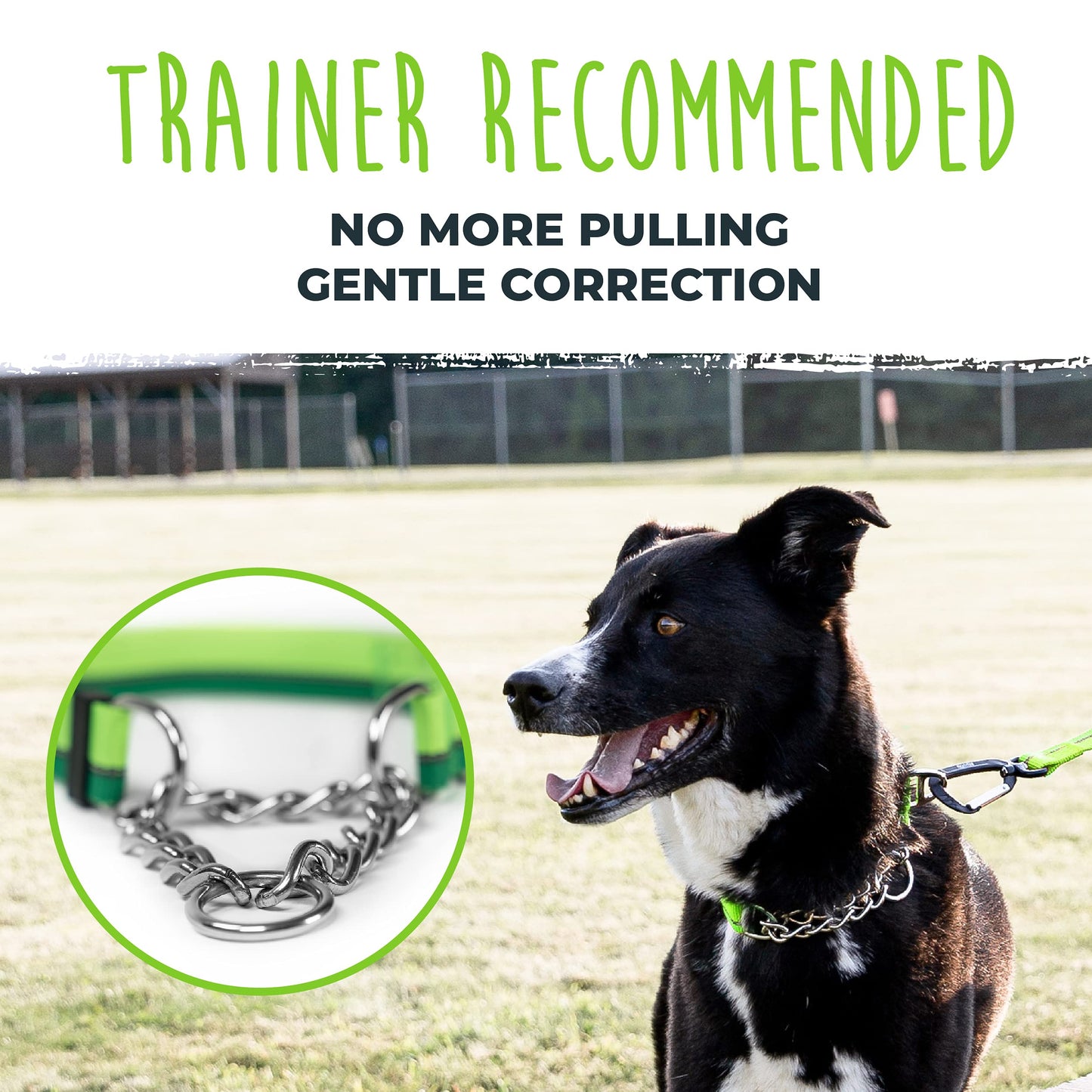 Mighty Paw Martingale Dog Collar 2.0 | Trainer Approved Limited Slip Collar with Stainless Steel Chain & Heavy Duty Buckle - Modified Cinch for Gentle & Effective Pet Training - S/M, Green