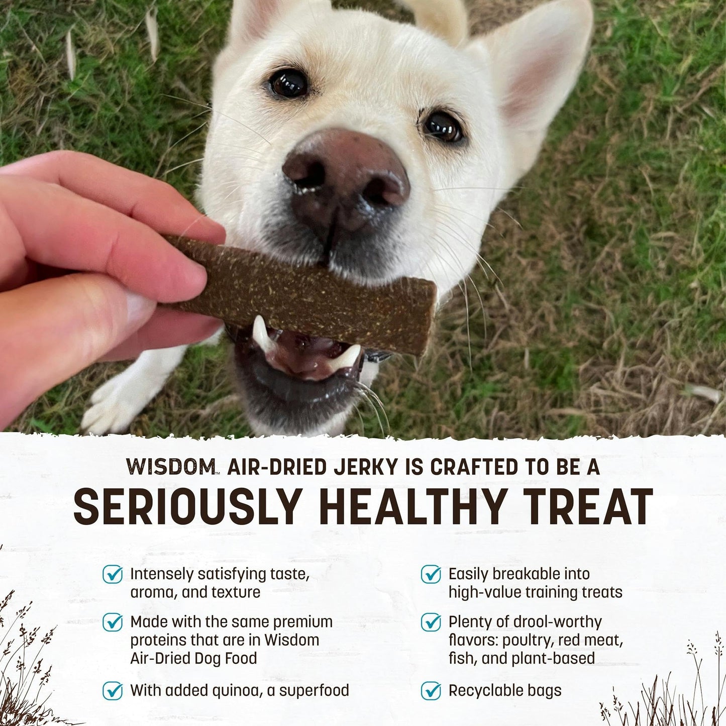 Earth Animal Wisdom Air-Dried Jerky from The Sea Recipe | Dog Treats | Dog Snacks | Premium Natural Fish Jerky Strips | 4 oz |Made in The USA (Pack of 1)