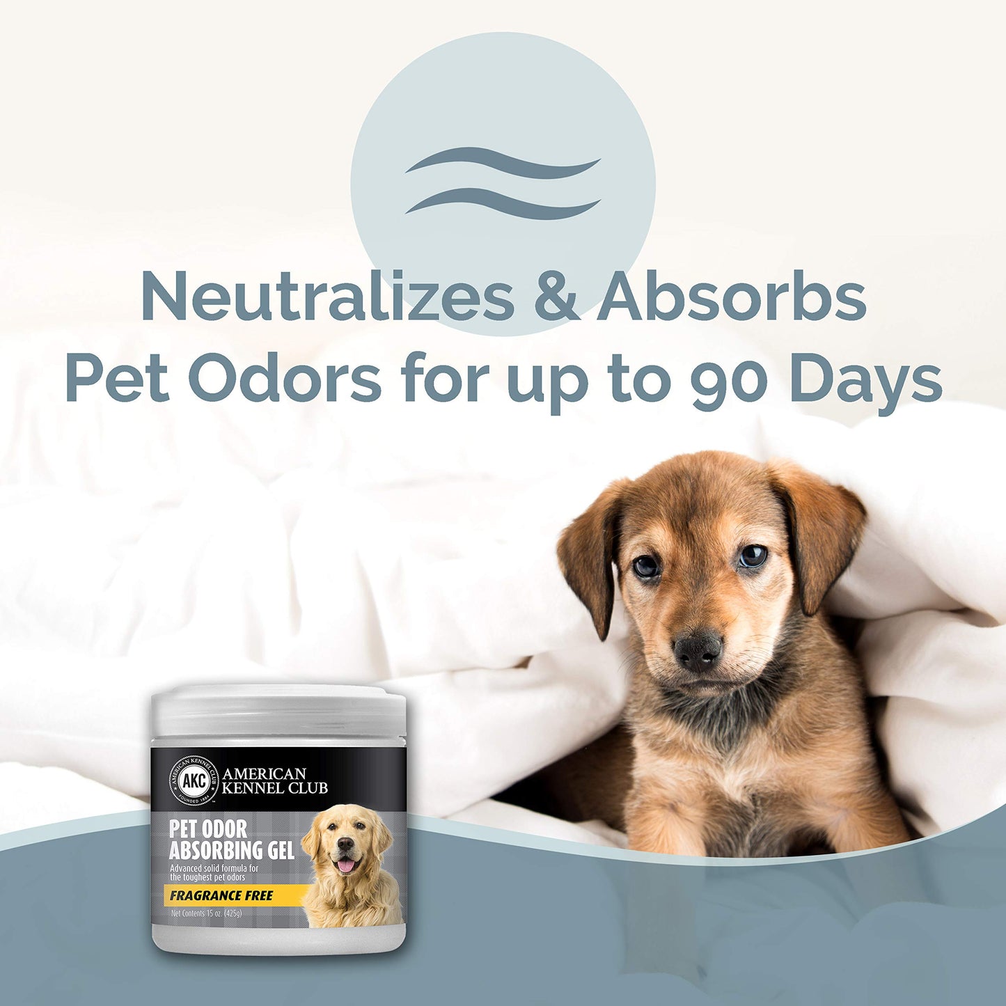 AMERICAN KENNEL CLUB SMELLS BEGONE Pet Odor Absorber Gel - Air Freshener & Odor Eliminator - Fragrance Free - 15 Ounce - 2 Pack