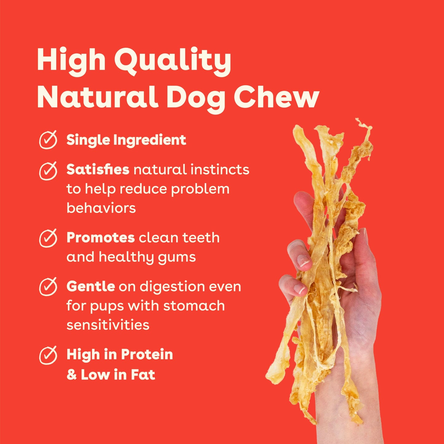 Pupford Turkey Tendon Dog Treats, High-Protein Chews for Healthy Teeth & Joints, Single Ingredient, Grain-Free, Made in USA (2.5 oz)