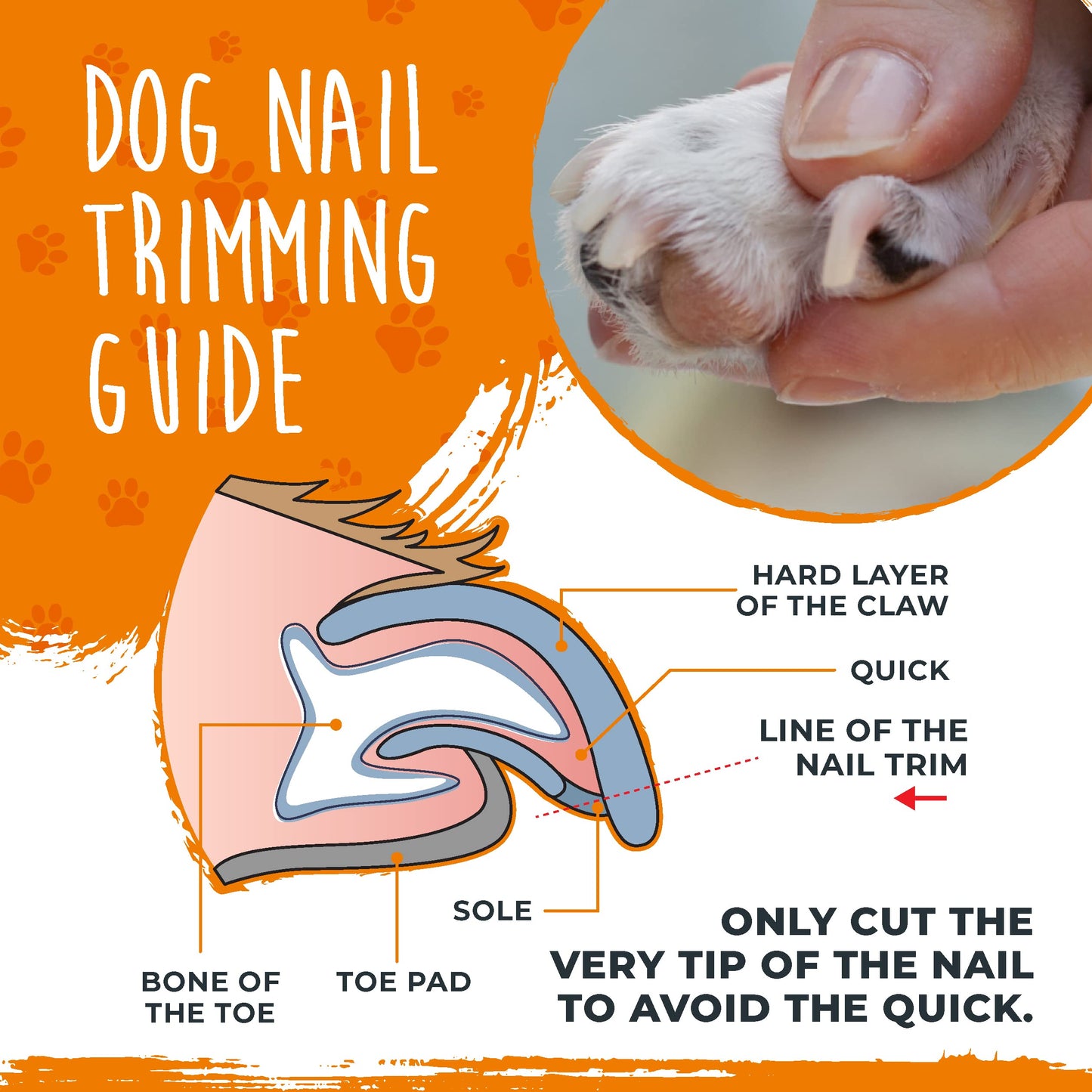 Mighty Paw Dog Nail Clippers - Dog Claw Clippers - Pet Claw Trimming and Grooming Set - Built-in Safety Guard - Sharp Stainless Steel Blade - Ergonomic Handle - Nail Trimmer - Paw Trimmer (Orange)