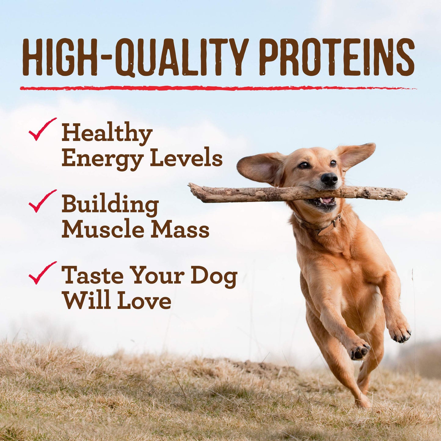 Merrick Grain Free Wet Dog Food Variety Pack, Grain Free Favorites Canned Dog Food - (12) 12.7 oz. Cans