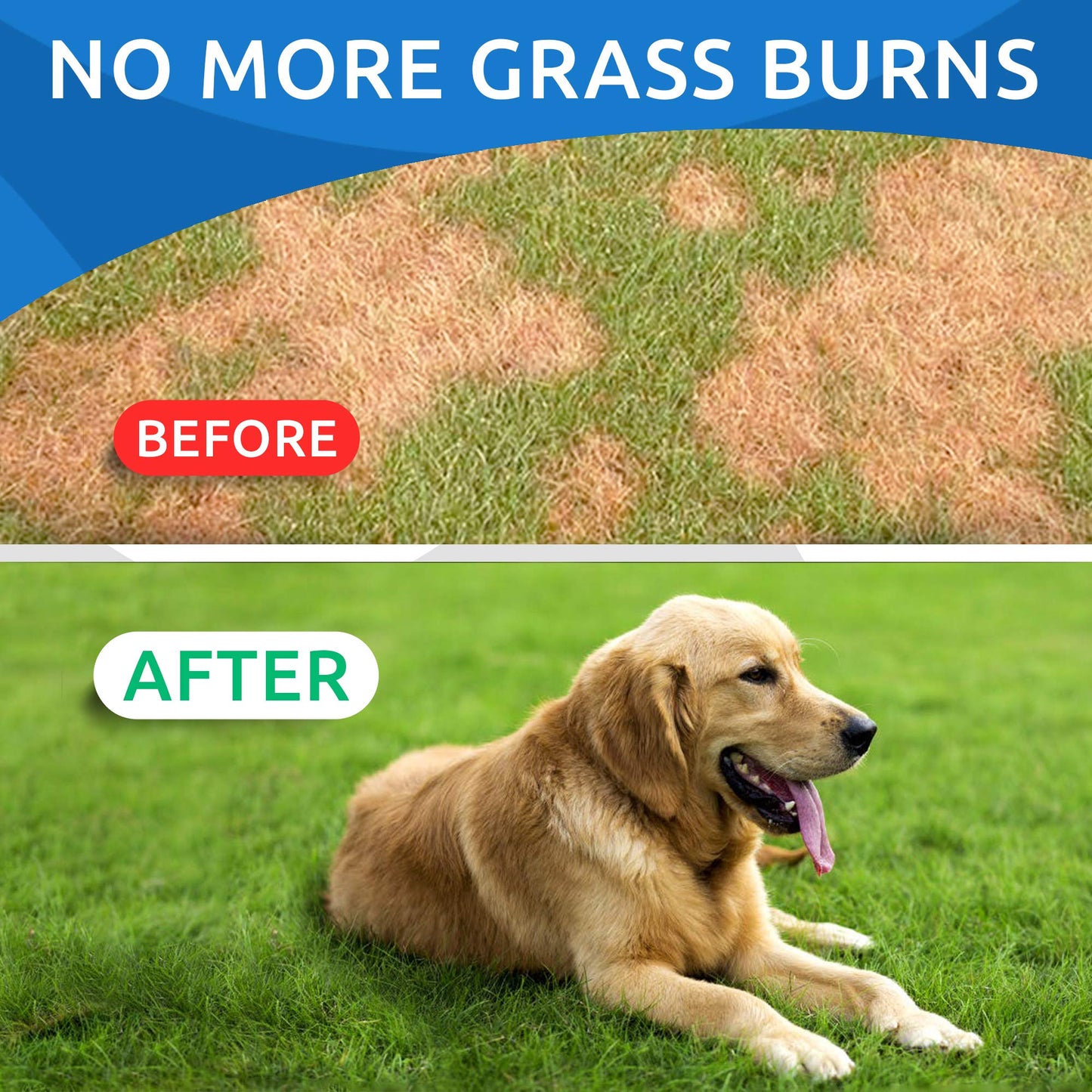 BARK&SPARK All-Natural Grass Burn Spot Chews for Dogs - Pee Lawn Spot Saver - Grass Restore Treats - Dog Urine Neutralizer Solution for Grass Burn Spots - Made in USA - 120 Chews