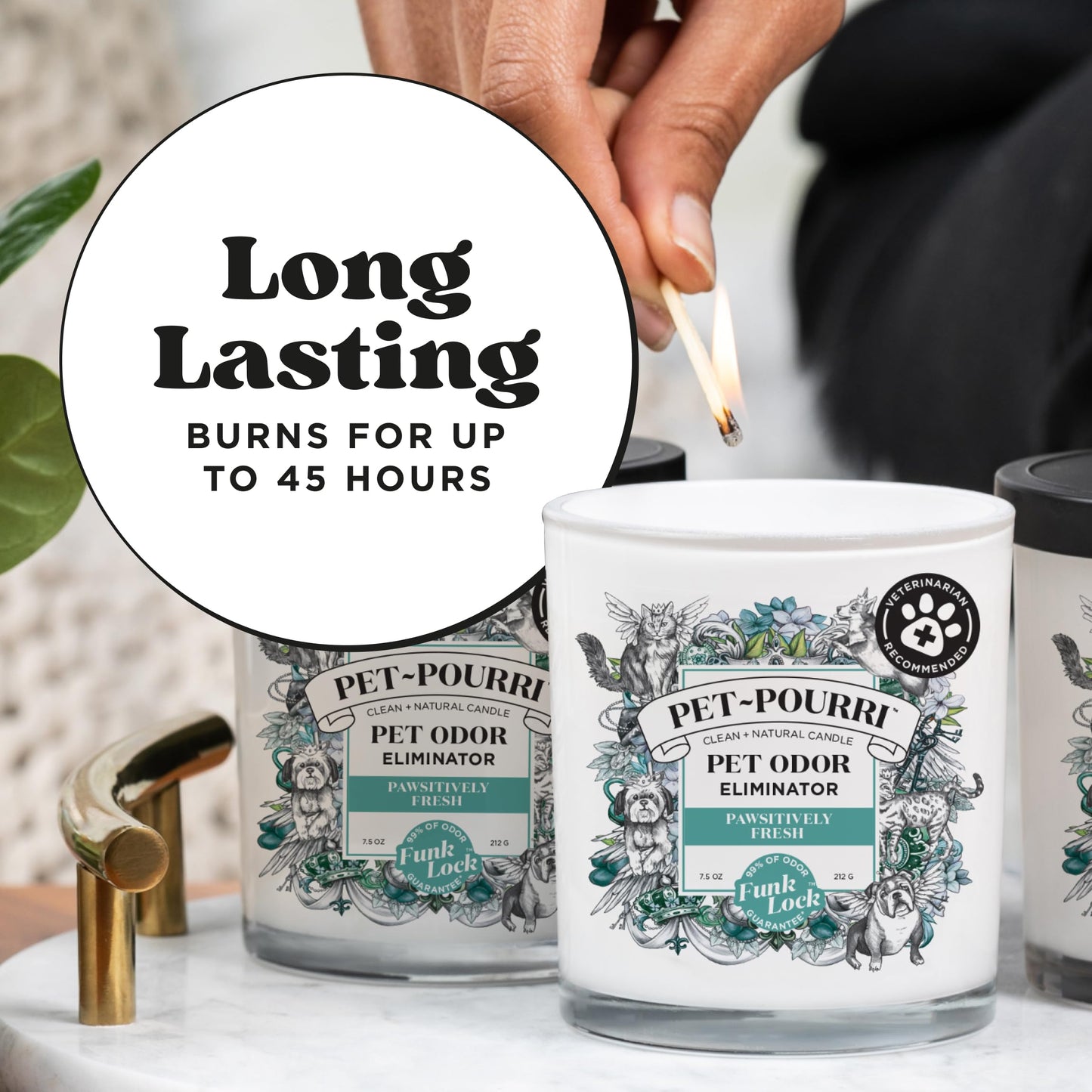 Poo-Pourri Pawsitively Fresh Pet Deodorizer Candle – Pet Safe Plant Based Ingredients & Wax – Vet Approved – Aromatherapy & Air Freshener for Pet Odor – Scented with Pineapple, Jasmine, & Pear