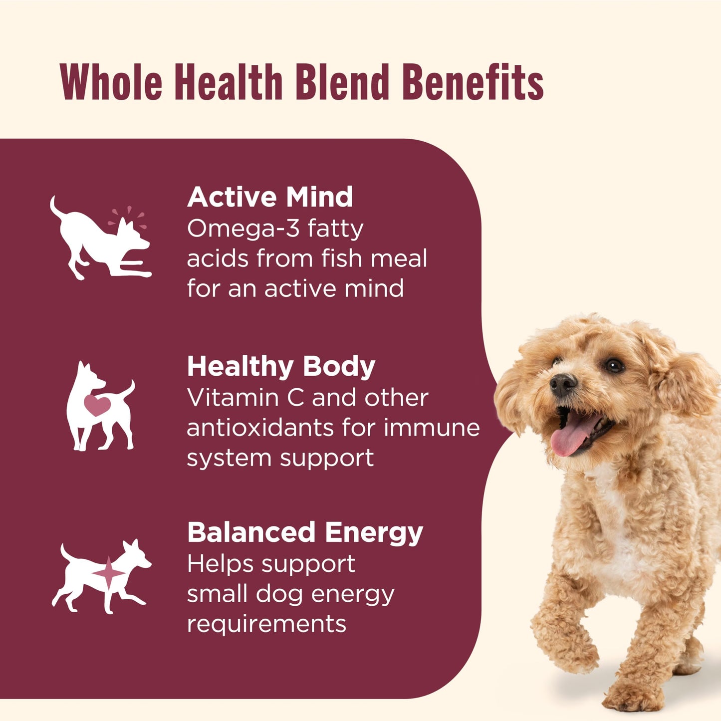 Nutrish Little Bites Small Breed Premium Natural Dry Dog Food, Real Chicken & Veggies Recipe, 6 Pounds (Packaging May Vary), (Rachael Ray Nutrish)