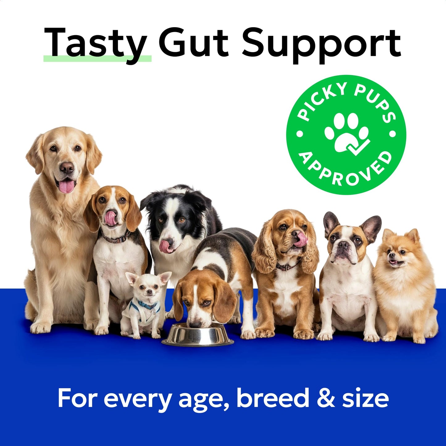 BARK&SPARK Pumpkin Powder for Dogs - 8oz Powdered Fiber Supplement and Stool Softener - Treat Diarrhea, Constipation, Upset Stomach, Food Sensitivity - Improve Digestion - Made in USA