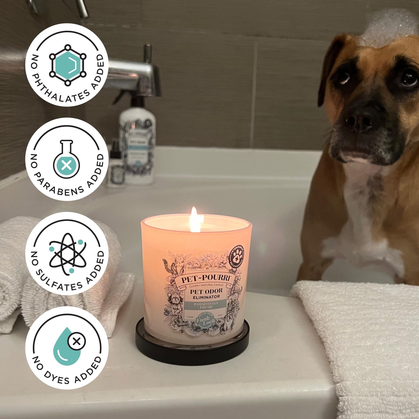 Poo-Pourri Pawsitively Fresh Pet Deodorizer Candle – Pet Safe Plant Based Ingredients & Wax – Vet Approved – Aromatherapy & Air Freshener for Pet Odor – Scented with Pineapple, Jasmine, & Pear