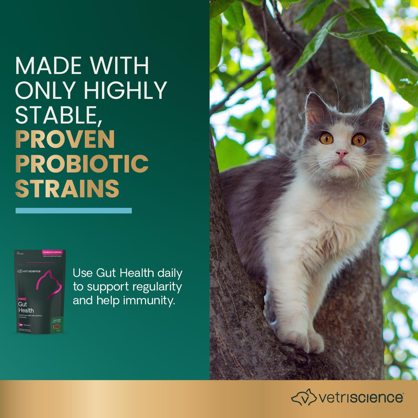 VetriScience Gut Health Probiotic & Prebiotic Digestive Supplements for Cats, Gas & Diarrhea & Immune Support, Soft Chews, Duck, 60 Count - New Look