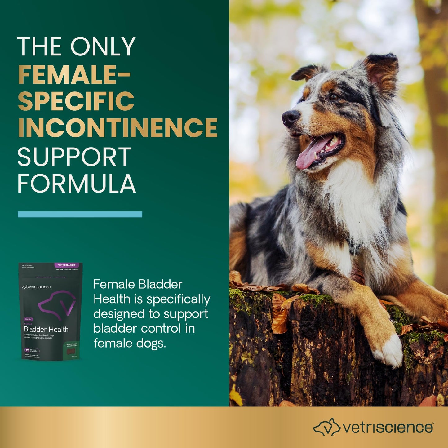 VETRISCIENCE Bladder Health Chews, Vetri Bladder Supplement for Dogs, Incontinence Support, Reduce Urine Leakage and Overactive Bladder, Soy Protein and Red Clover, Chicken, 60 Count