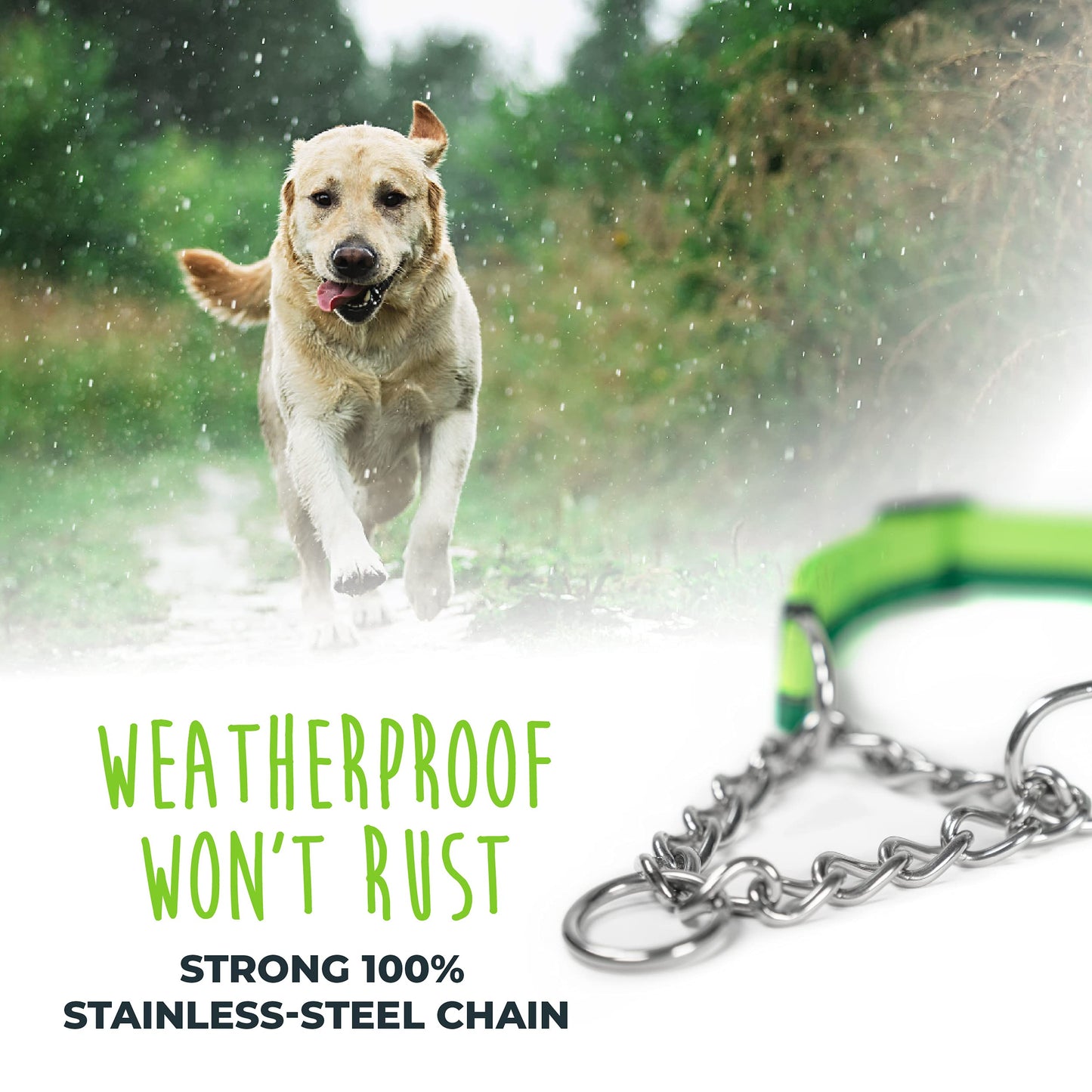 Mighty Paw Martingale Dog Collar 2.0 | Trainer Approved Limited Slip Collar with Stainless Steel Chain & Heavy Duty Buckle - Modified Cinch for Gentle & Effective Pet Training - S/M, Green