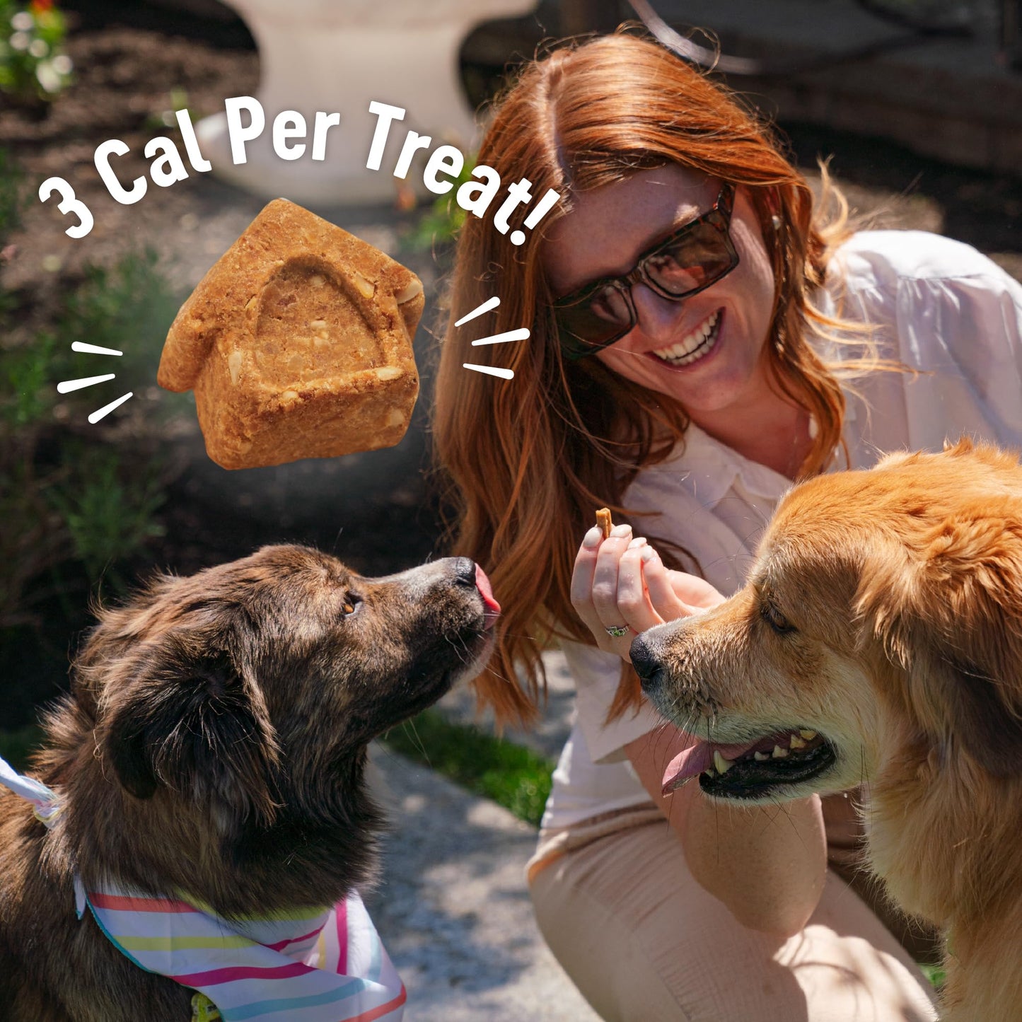 Wellness Puppy Treats, Natural, Training Treat, Grain Free, Crunchy Chicken & Carrot (6 Ounce Bag) (Pack of 2)