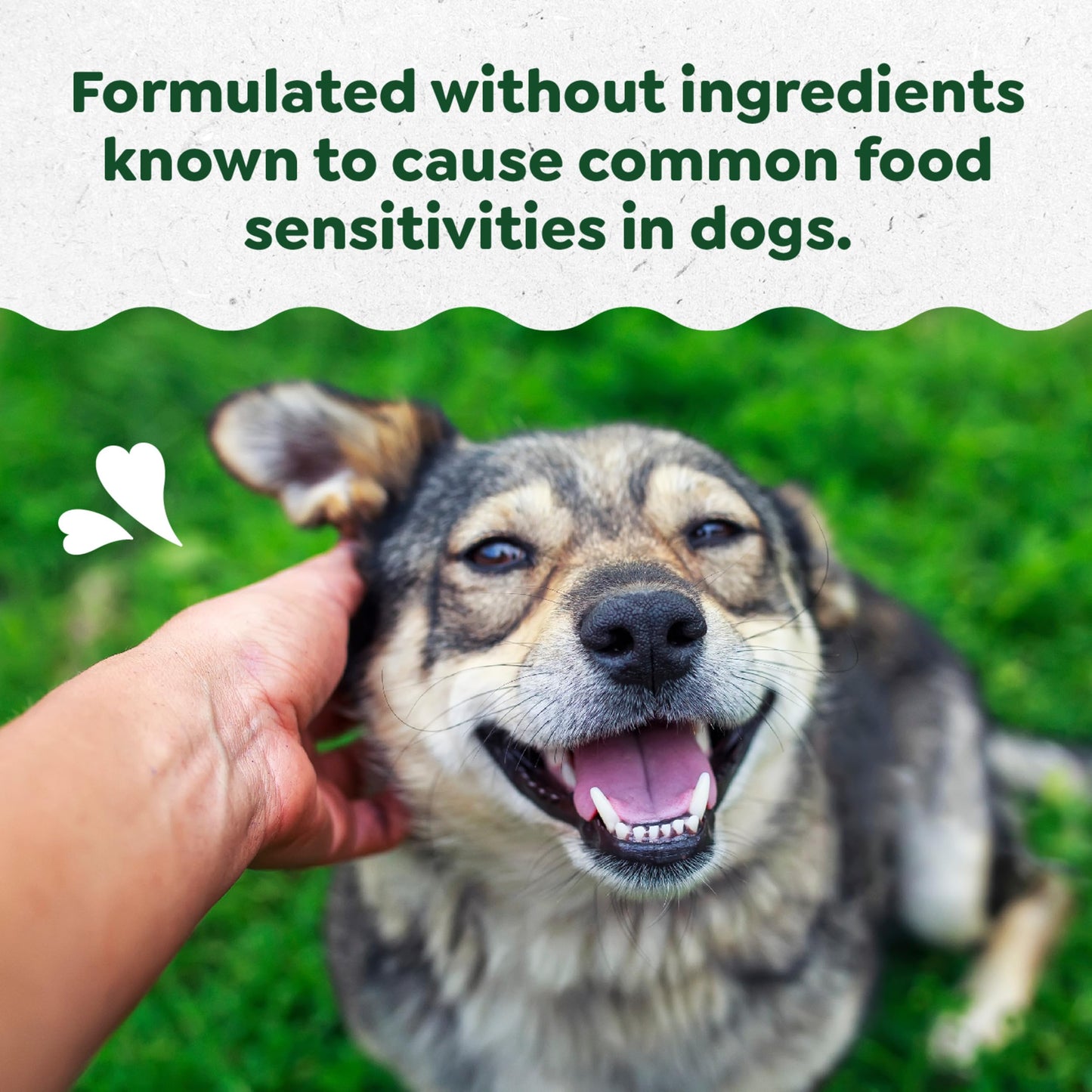 Greenies Sensitive Care Allergy & Immune Support Dog Supplement Chicken-Free Formula, Peanut Butter Flavor, 40 Count Pouch