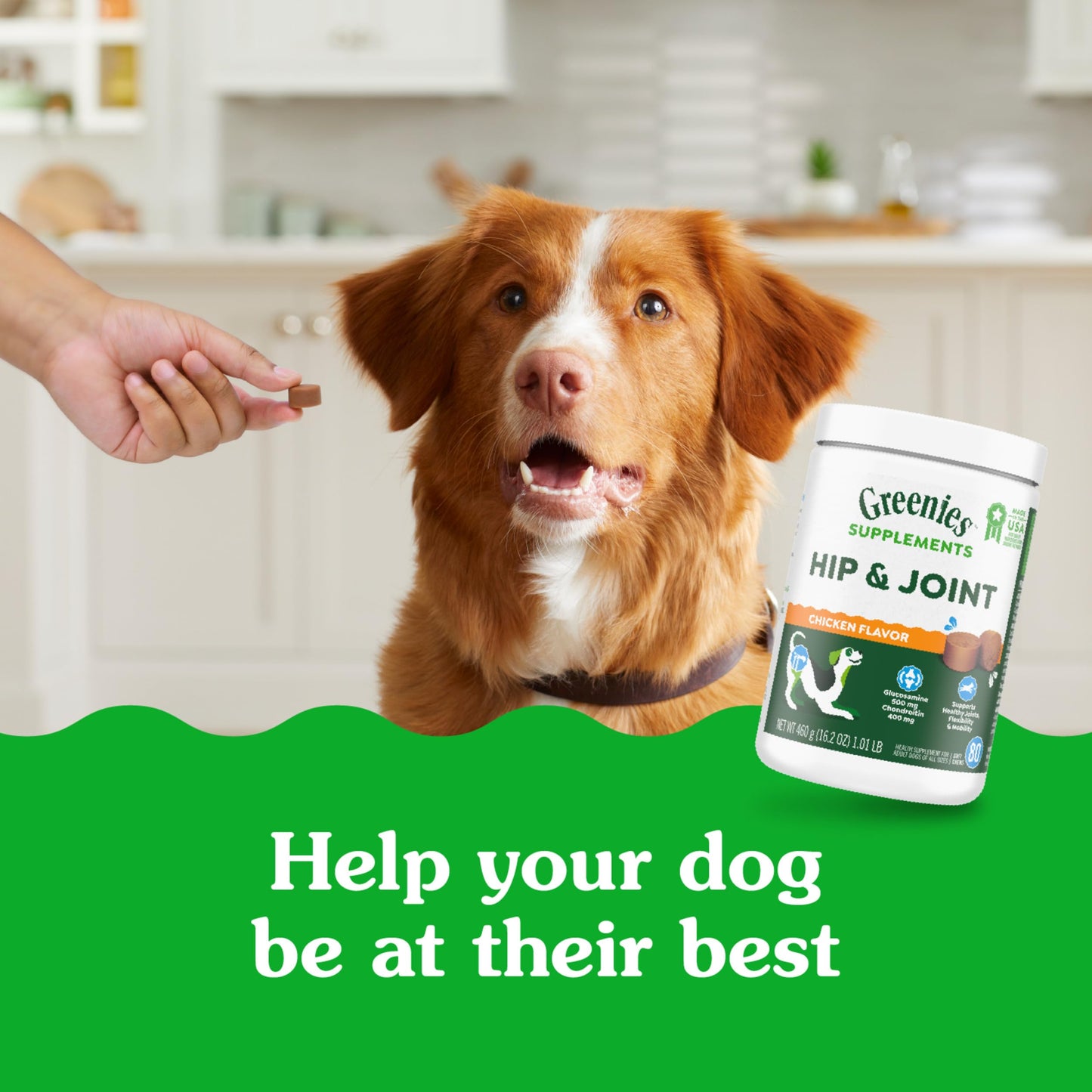 Greenies Supplements Hip and Joint Supplements for Dogs, Chicken Flavor, 6.08 oz. 30-Count