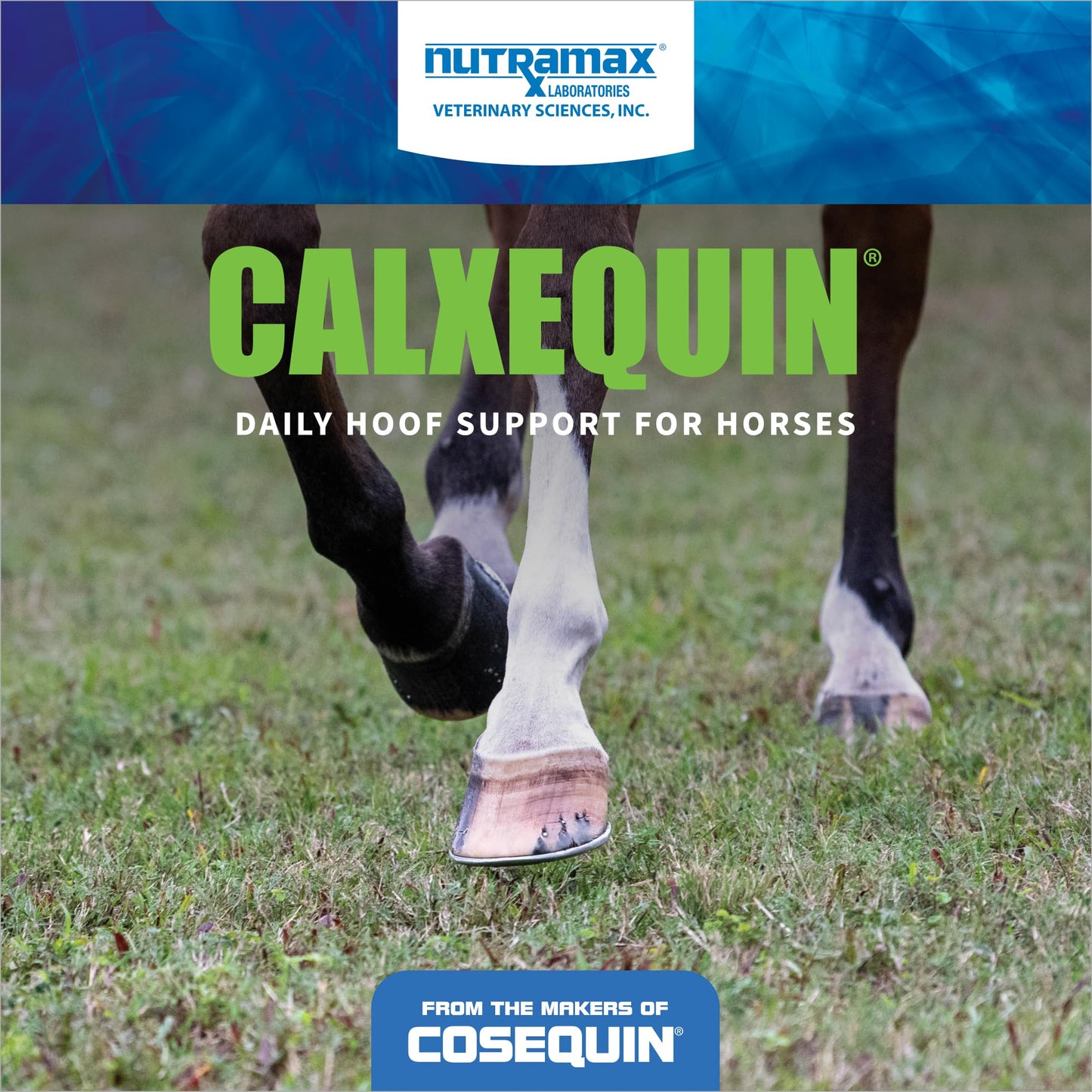 Nutramax Calxequin Pellets Daily Hoof Support for Horses with Biotin, Vitamin E, & Selenium, 1260 Grams, from The Makers of Cosequin