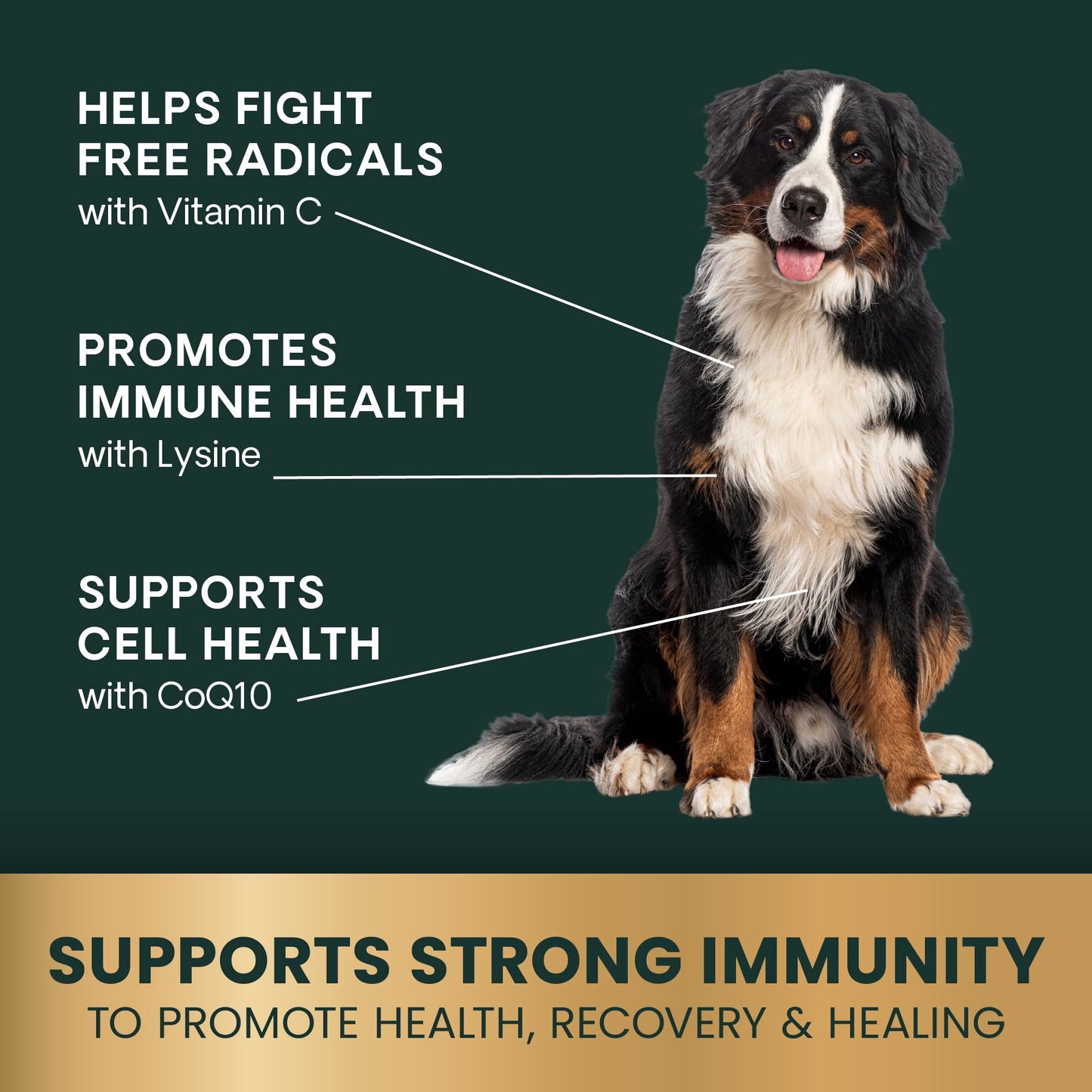 VetriScience Immunity Health Easy-Open Capsules, 23 Antioxidants for Cell Advance, Immune Plus Supplement for Medium to Large Breed Dogs, Immune and Allergy Support, 120 Count