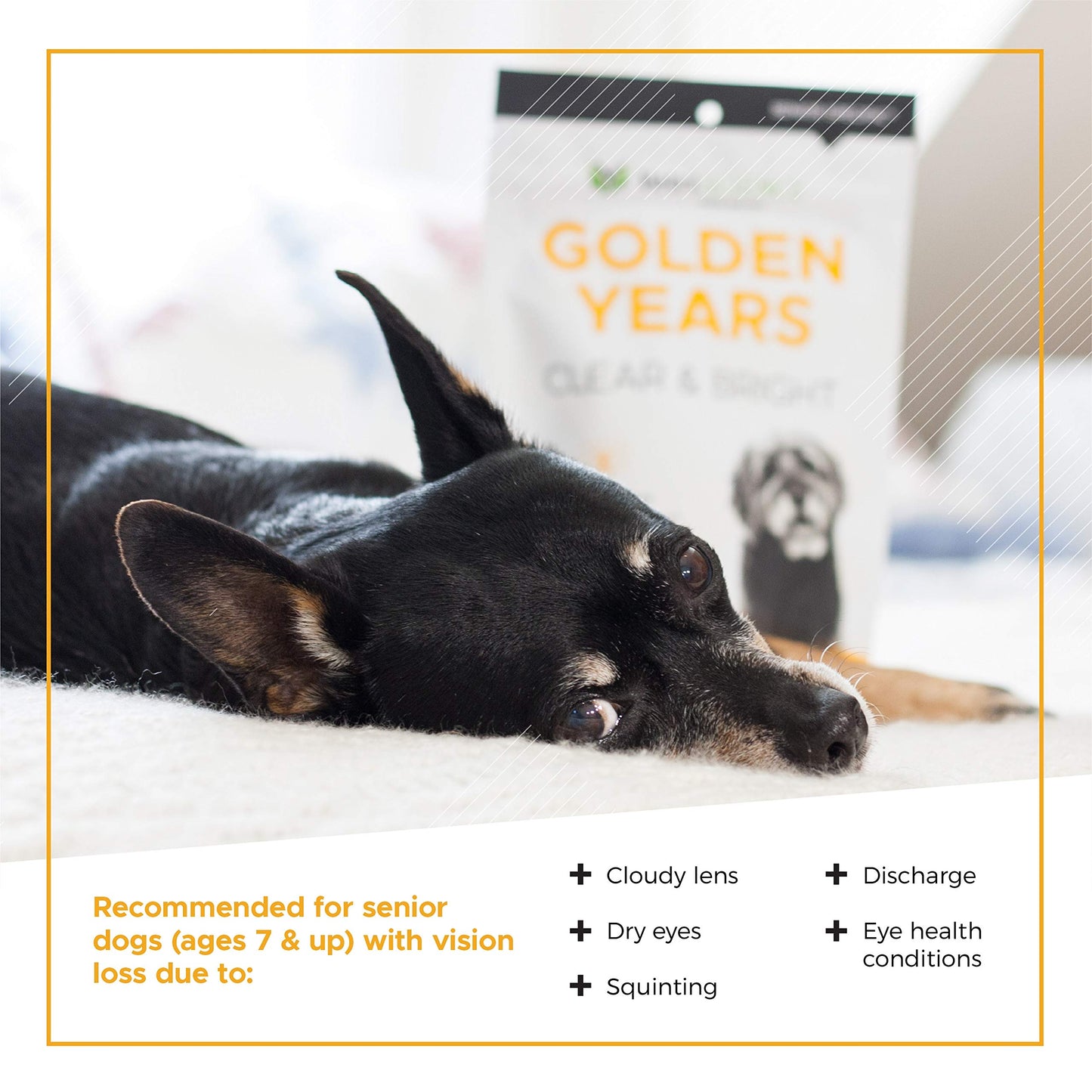 VetriScience Golden Years Clear and Bright Vision Support for Senior Dogs, Chicken Flavor, 60 Chews - Supports Cloudy and Teary Eyes and Ocular Blood Flow