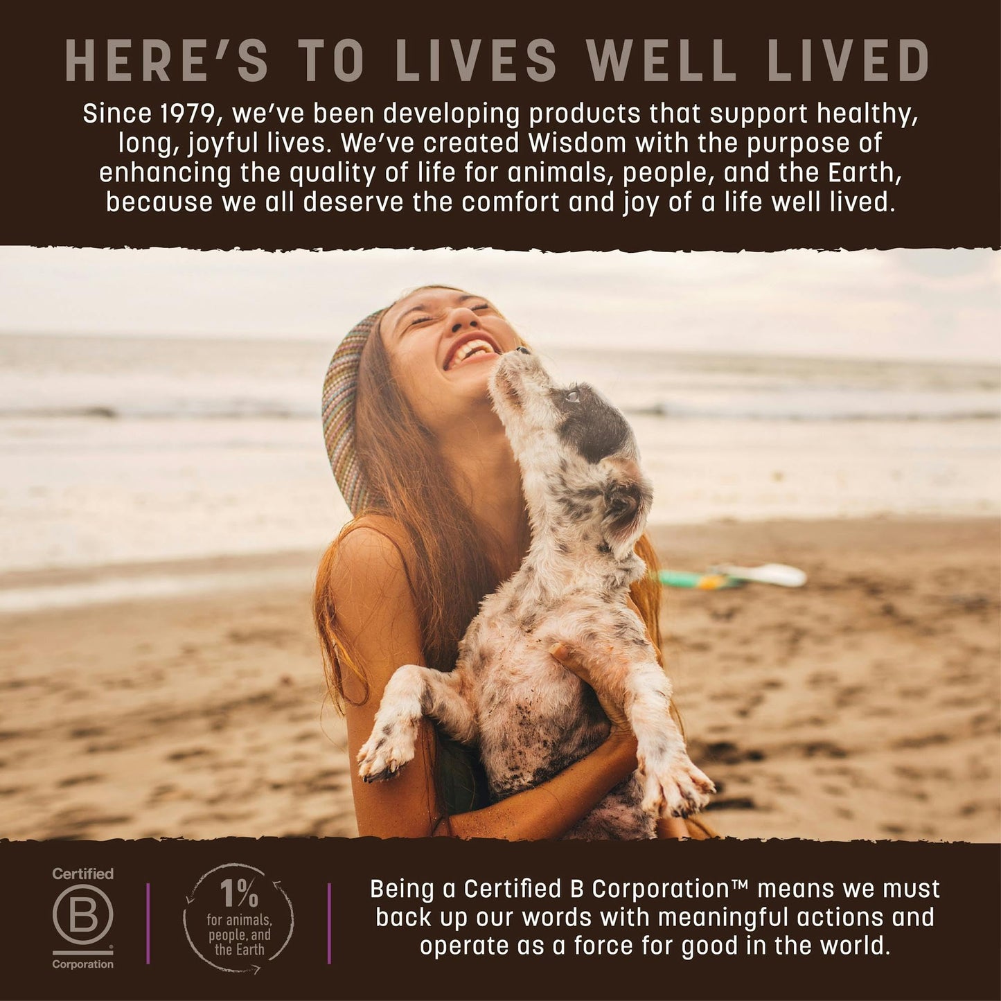 Earth Animal Wisdom Air-Dried Jerky Turkey Recipe | Dog Treats and Snacks | Premium Natural Turkey Jerky Strips | 4 oz | Dog Treats Made in The USA (Pack of 1)