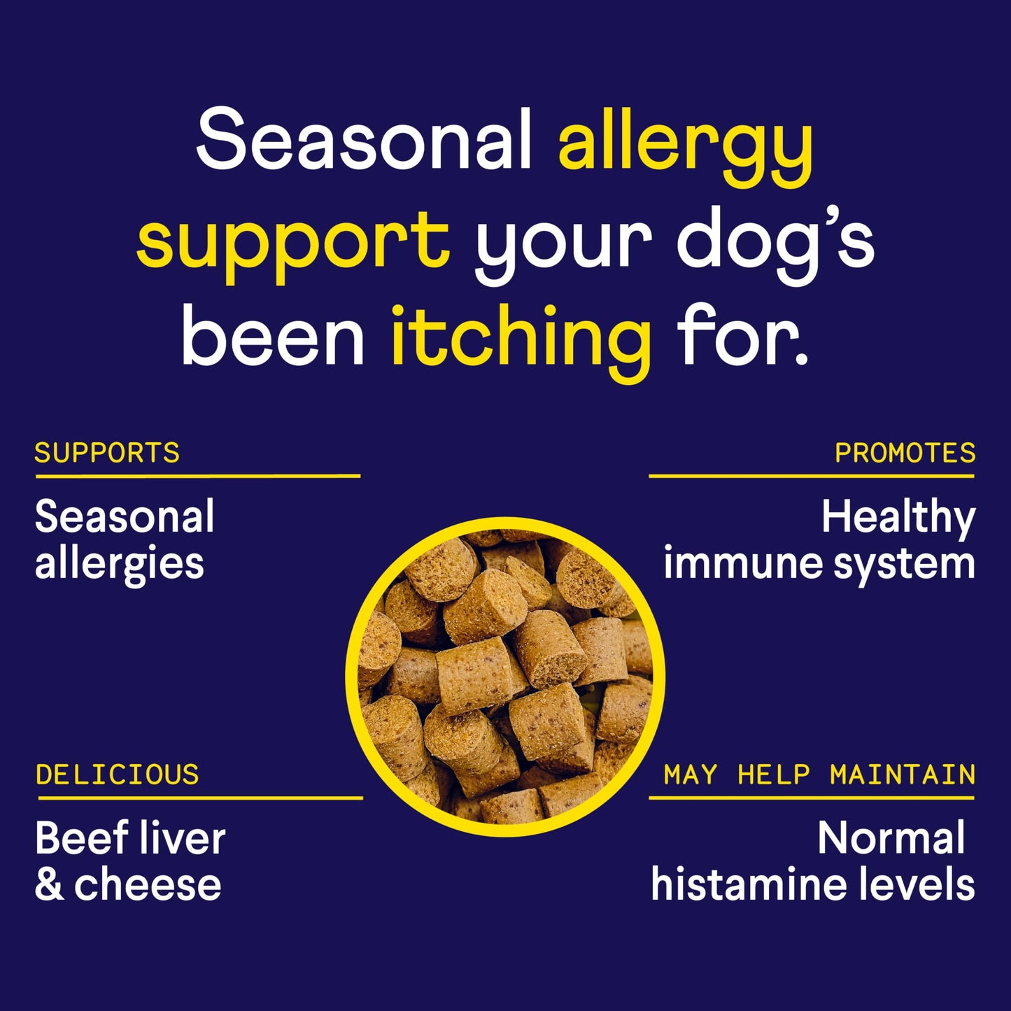 Finn Comfy Pup Bundle | Allergy & Itch + Digestive Probiotics
